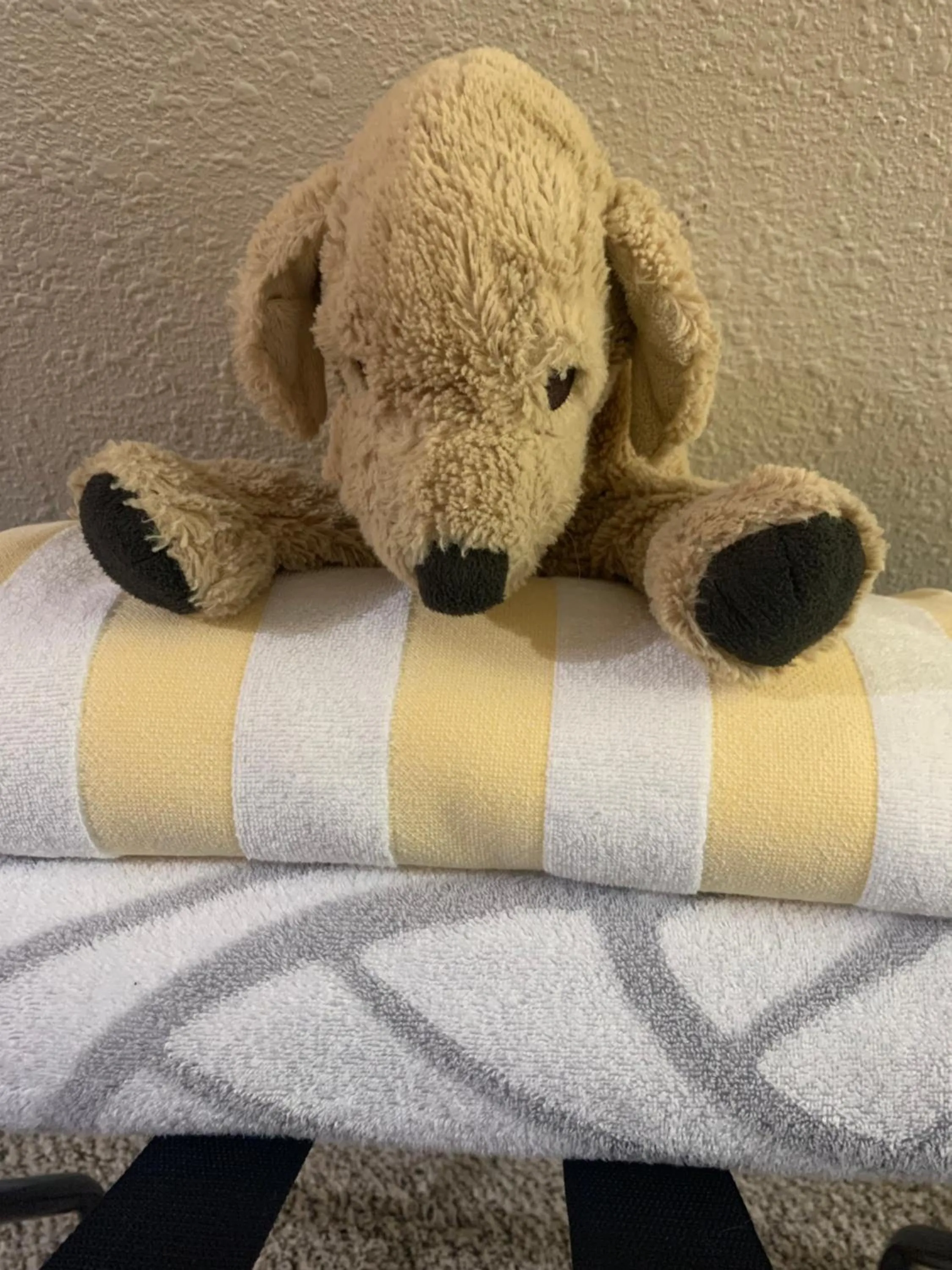 towels in Mountain Meadows Inn & Chalet Suites