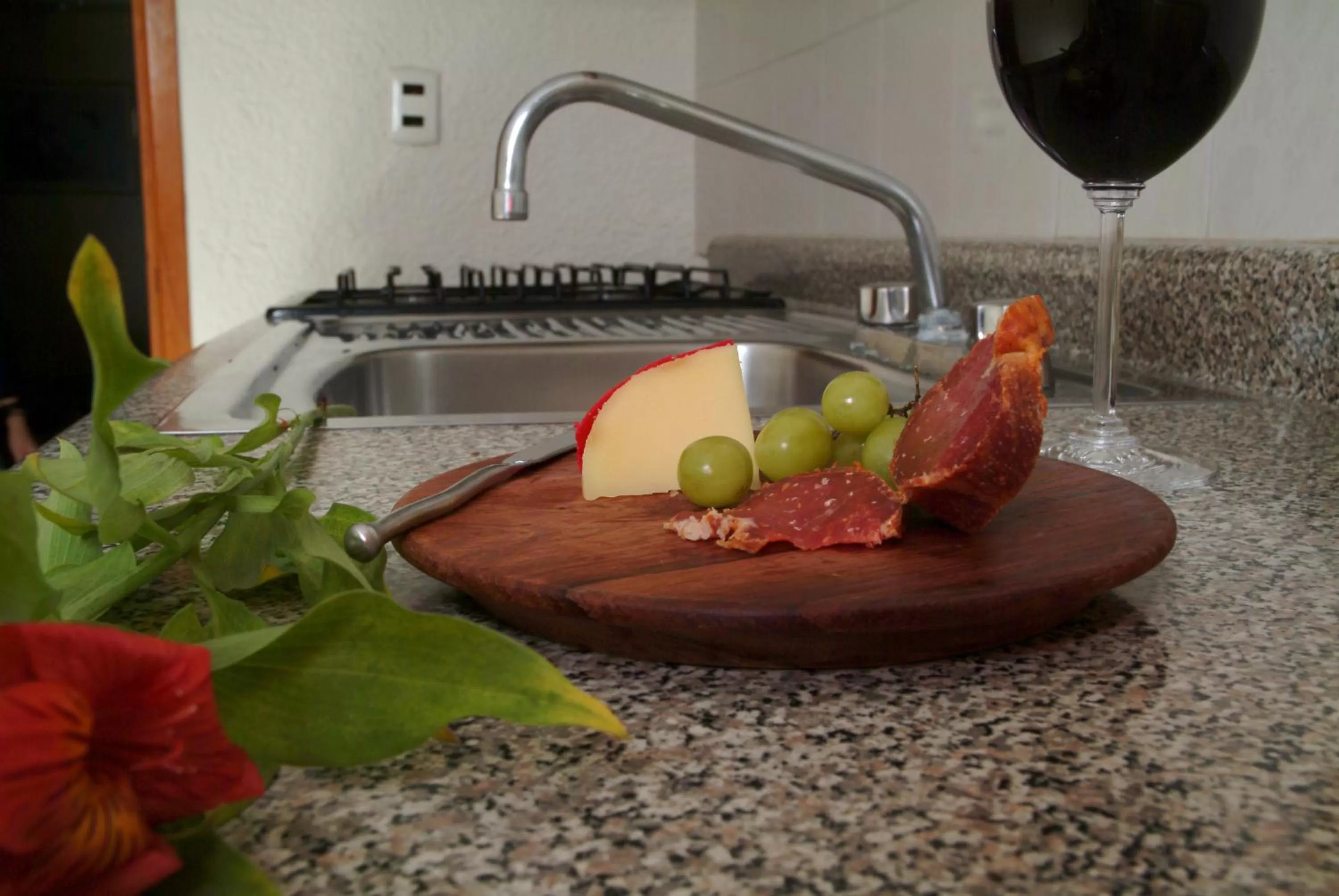 Kitchen or kitchenette in Hotel y Suites Nader