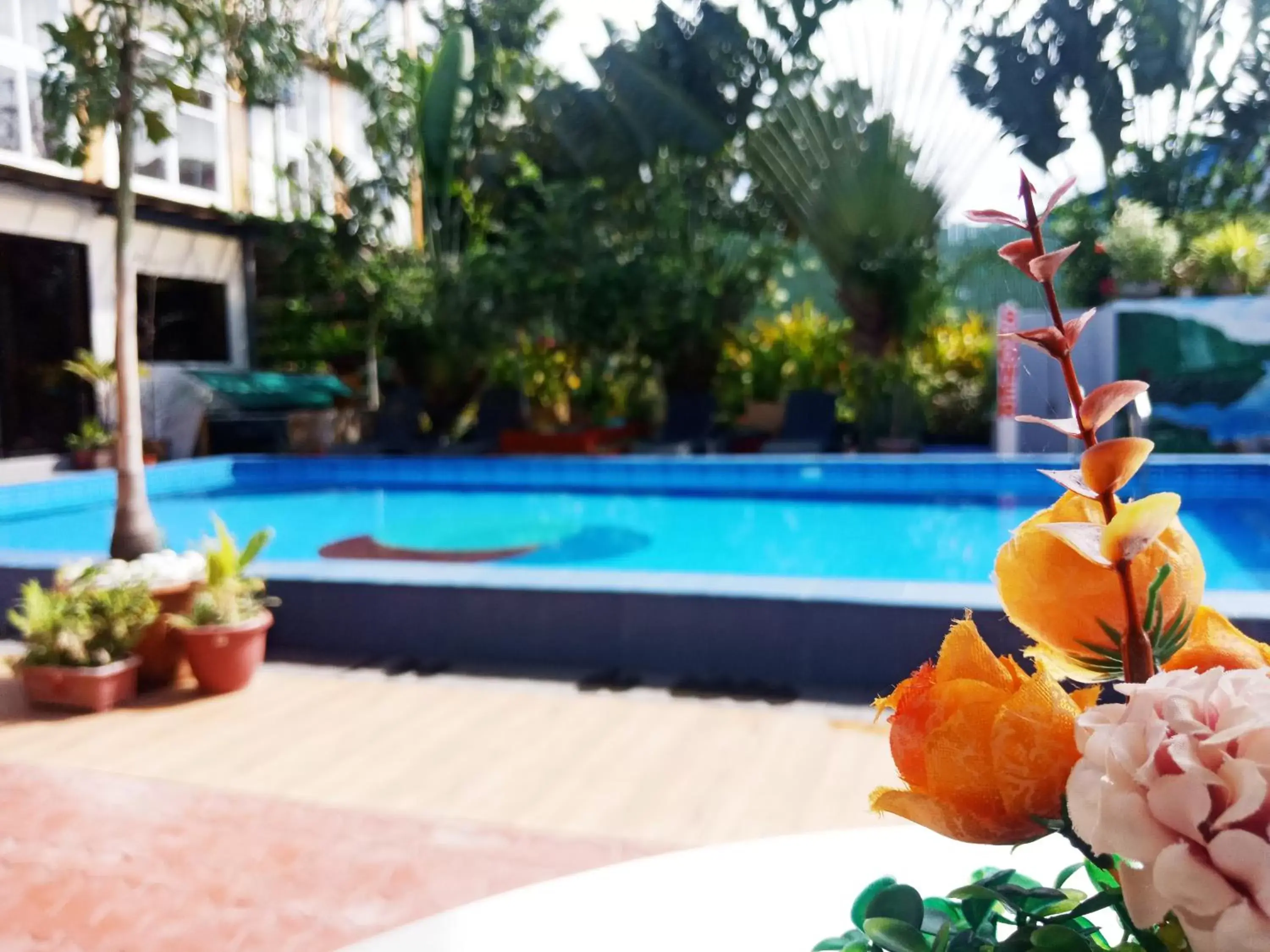 Swimming Pool in Aerostop Hotel and Restaurant