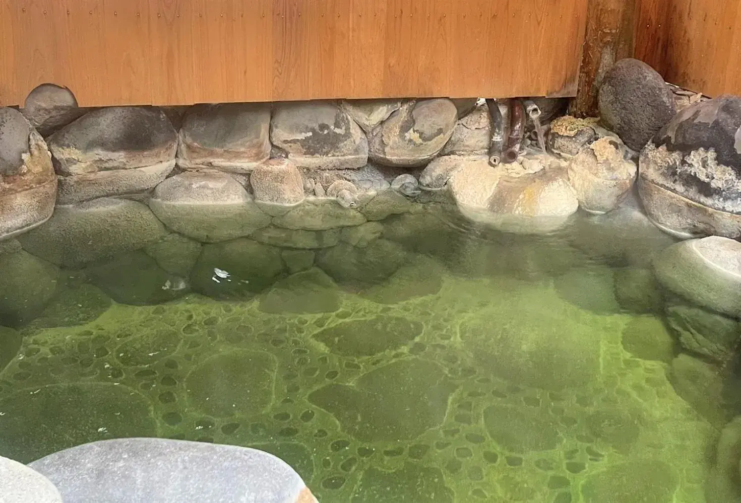 Hot Spring Bath, Other Animals in Hatago Nagomi Hot Spring Hotel