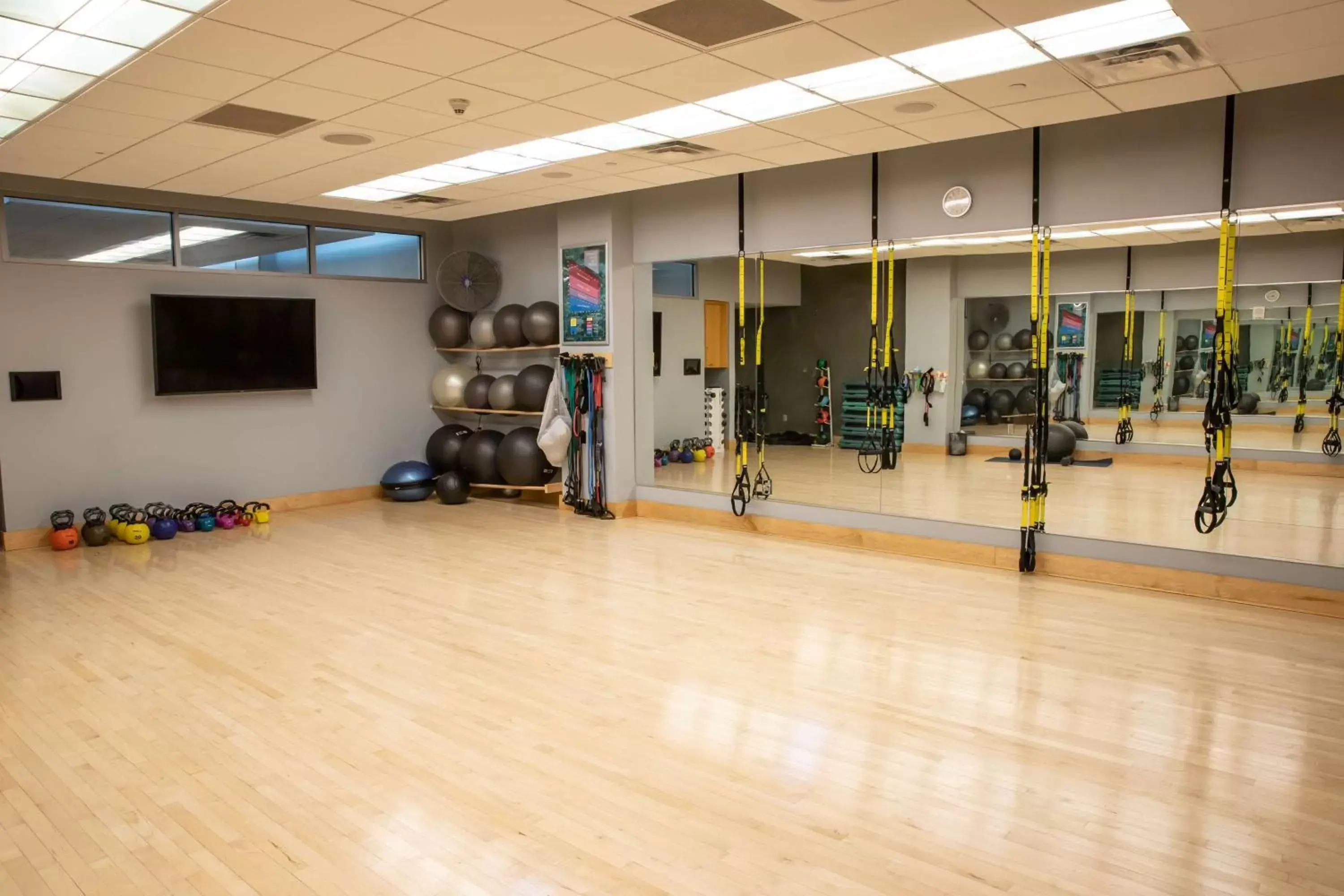 Spa and wellness centre/facilities, Fitness Center/Facilities in Radisson Plaza Hotel at Kalamazoo Center