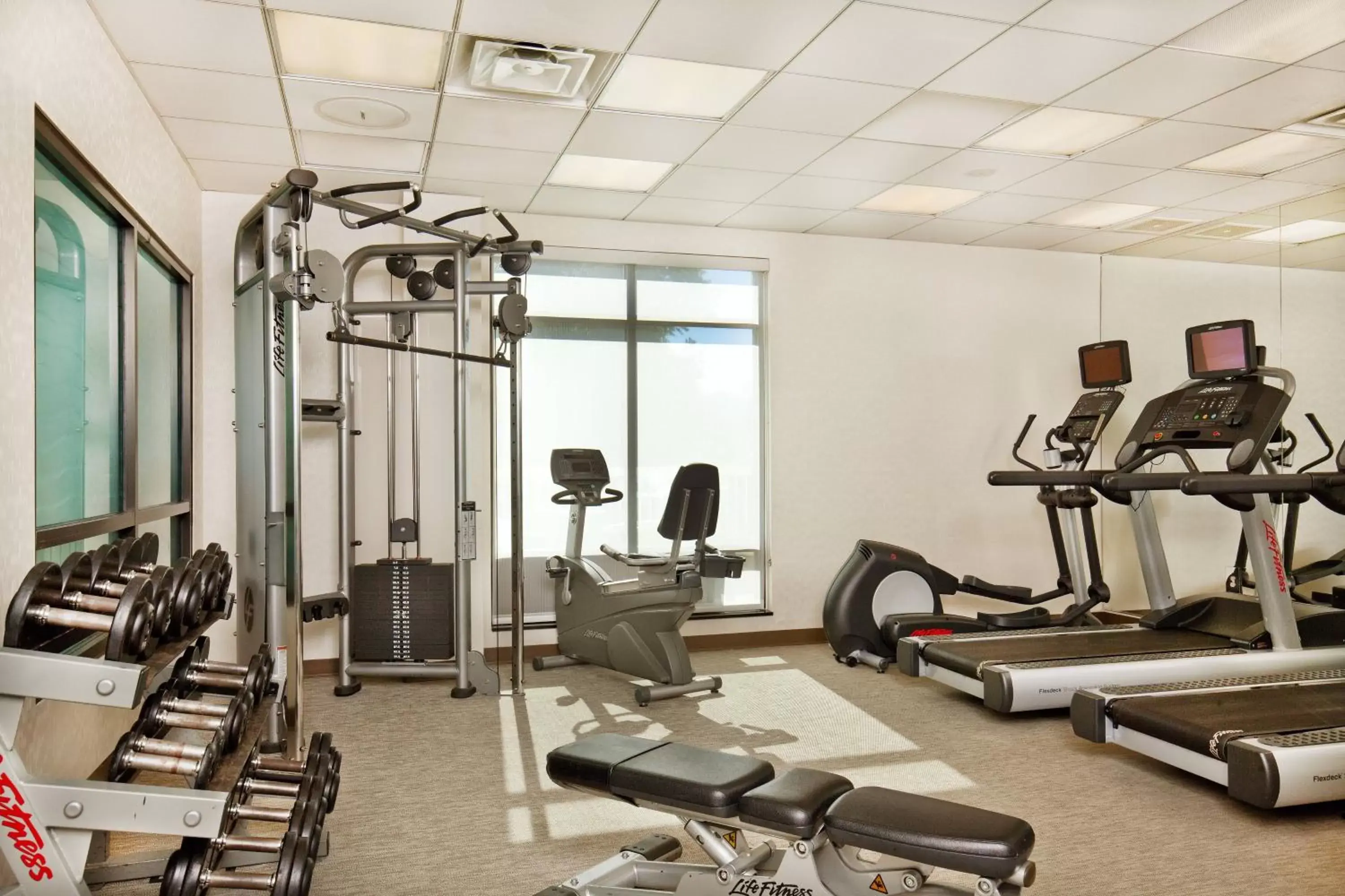 Fitness centre/facilities, Fitness Center/Facilities in SpringHill Suites Chesapeake Greenbrier