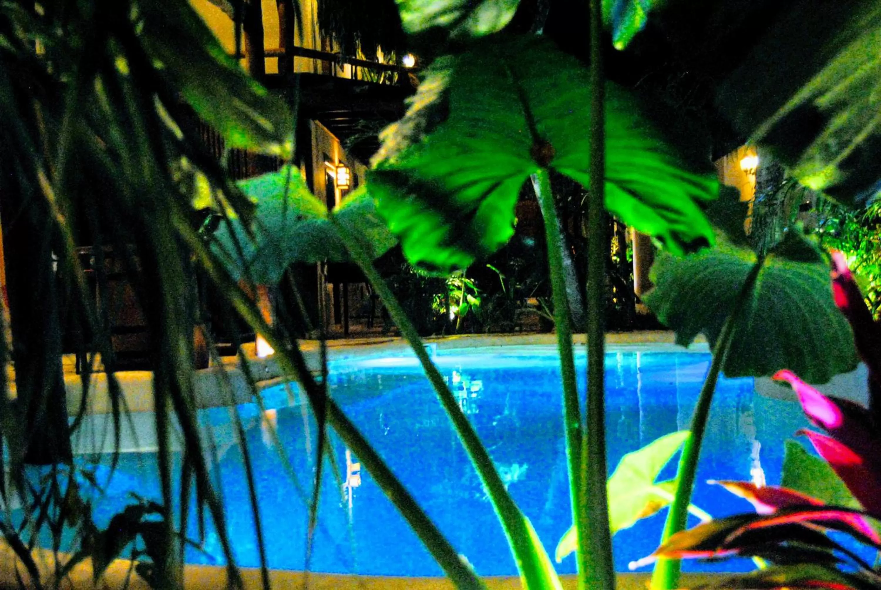 Pool view in Hotel Boutique TerraNova