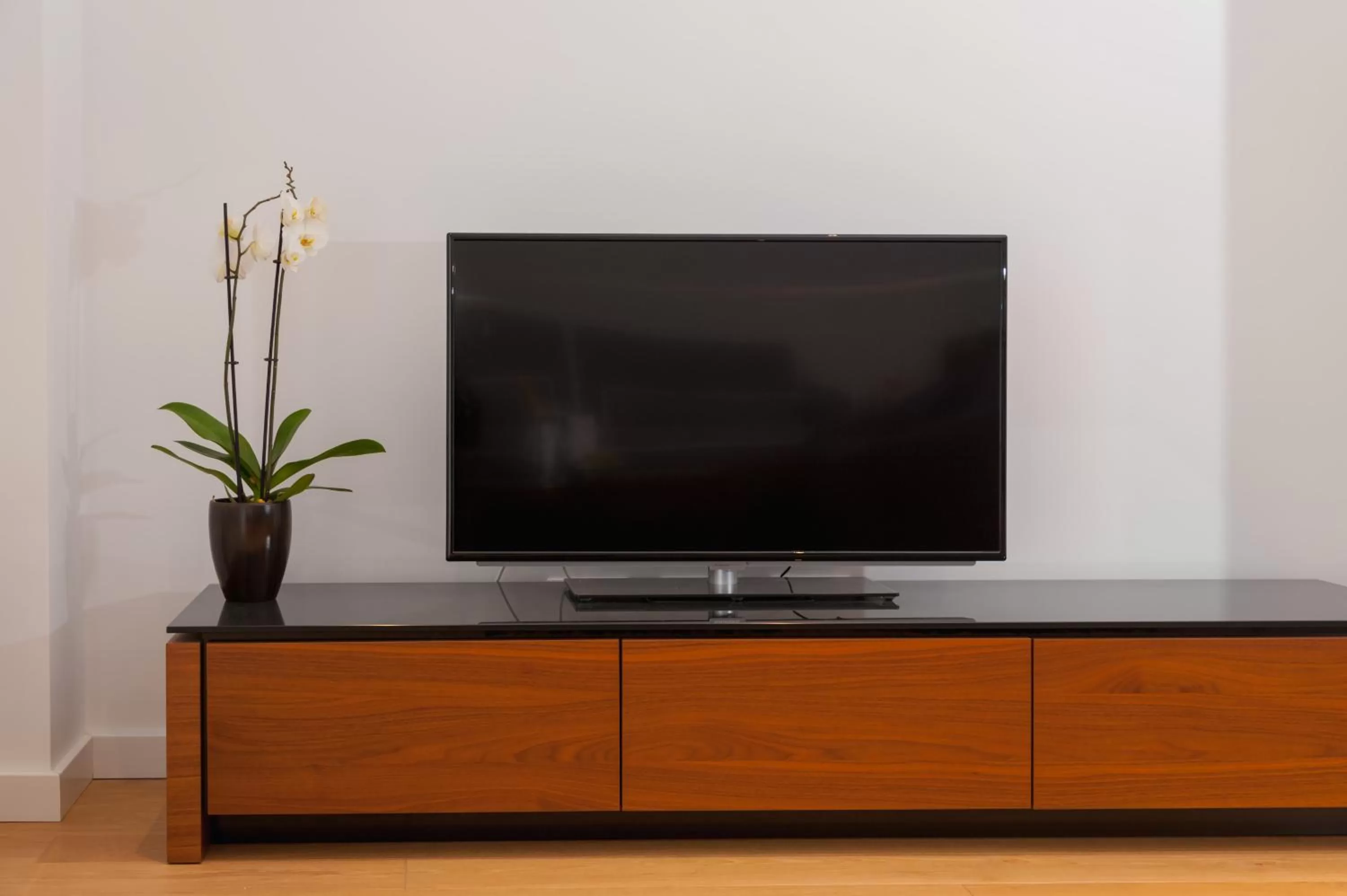 TV and multimedia in Residence by Vestibul Palace