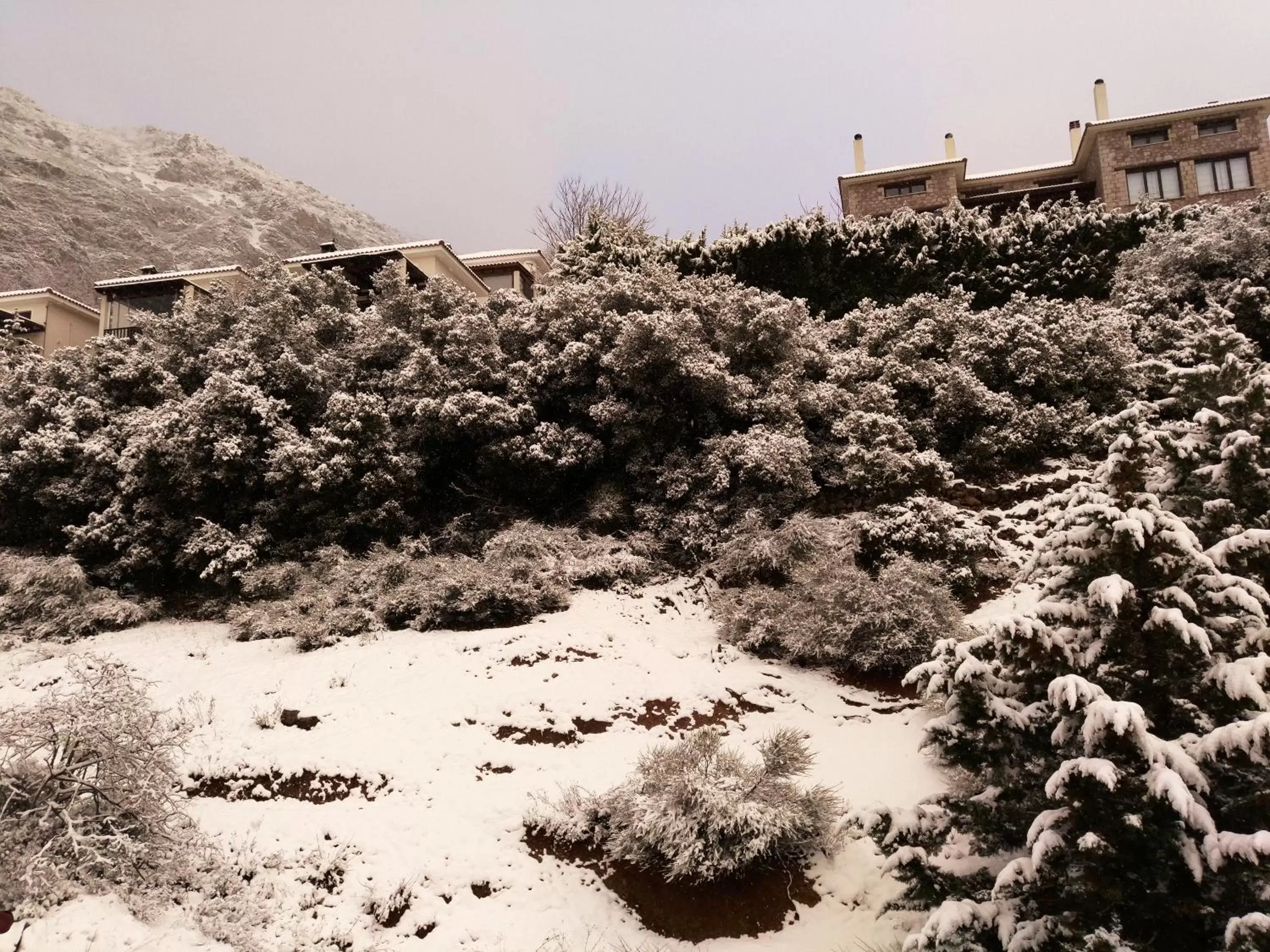 Mountain view, Winter in Domotel Anemolia Mountain Resort