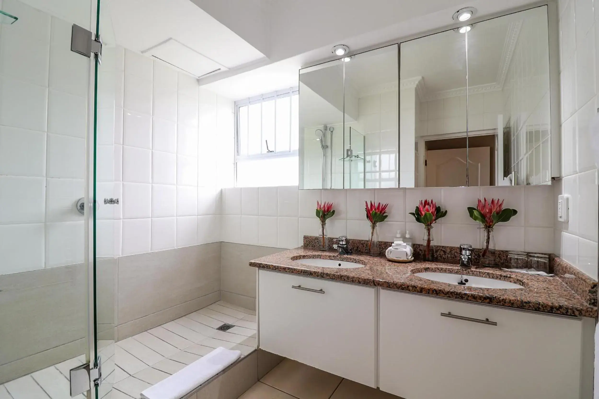 Bathroom, Kitchen/Kitchenette in Hermanus Beachfront Lodge