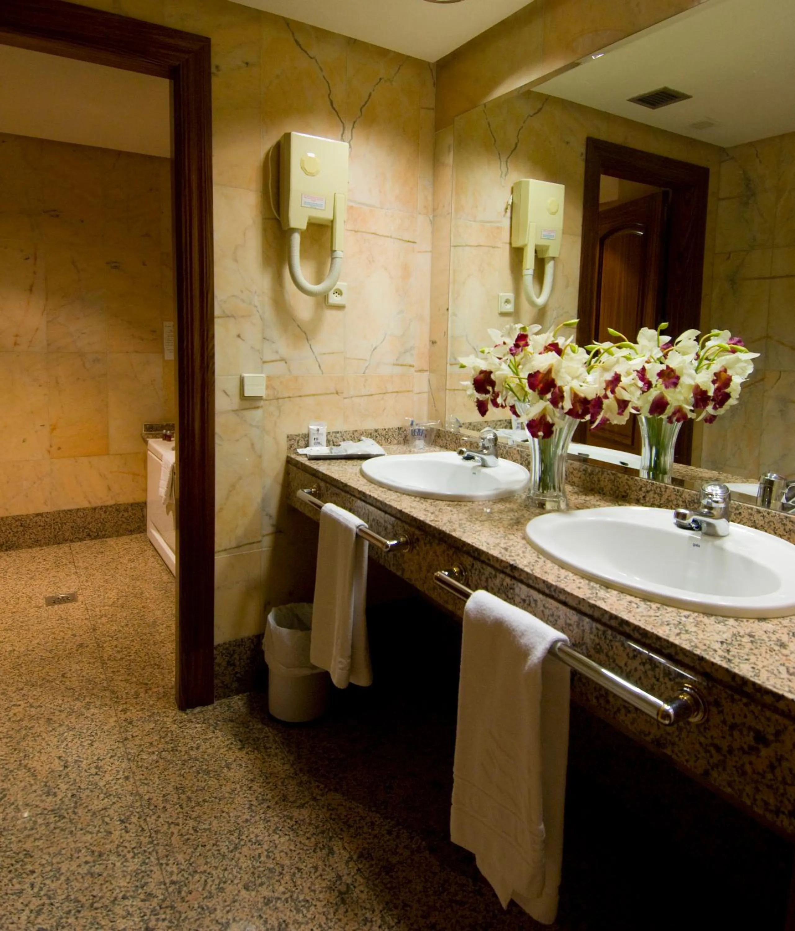 Bathroom in Hotel San Antonio