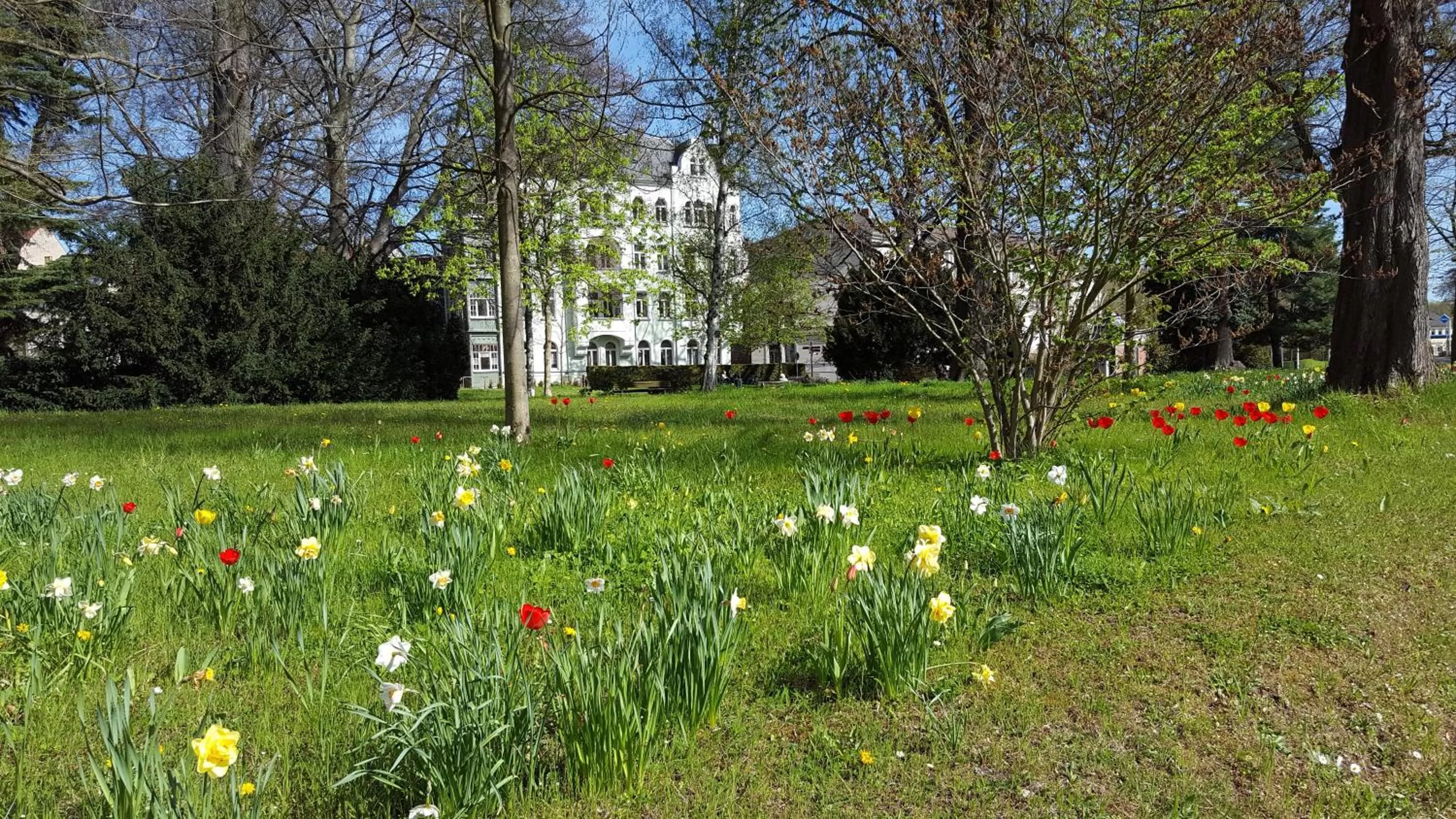 Spring in Hotel Weberhof
