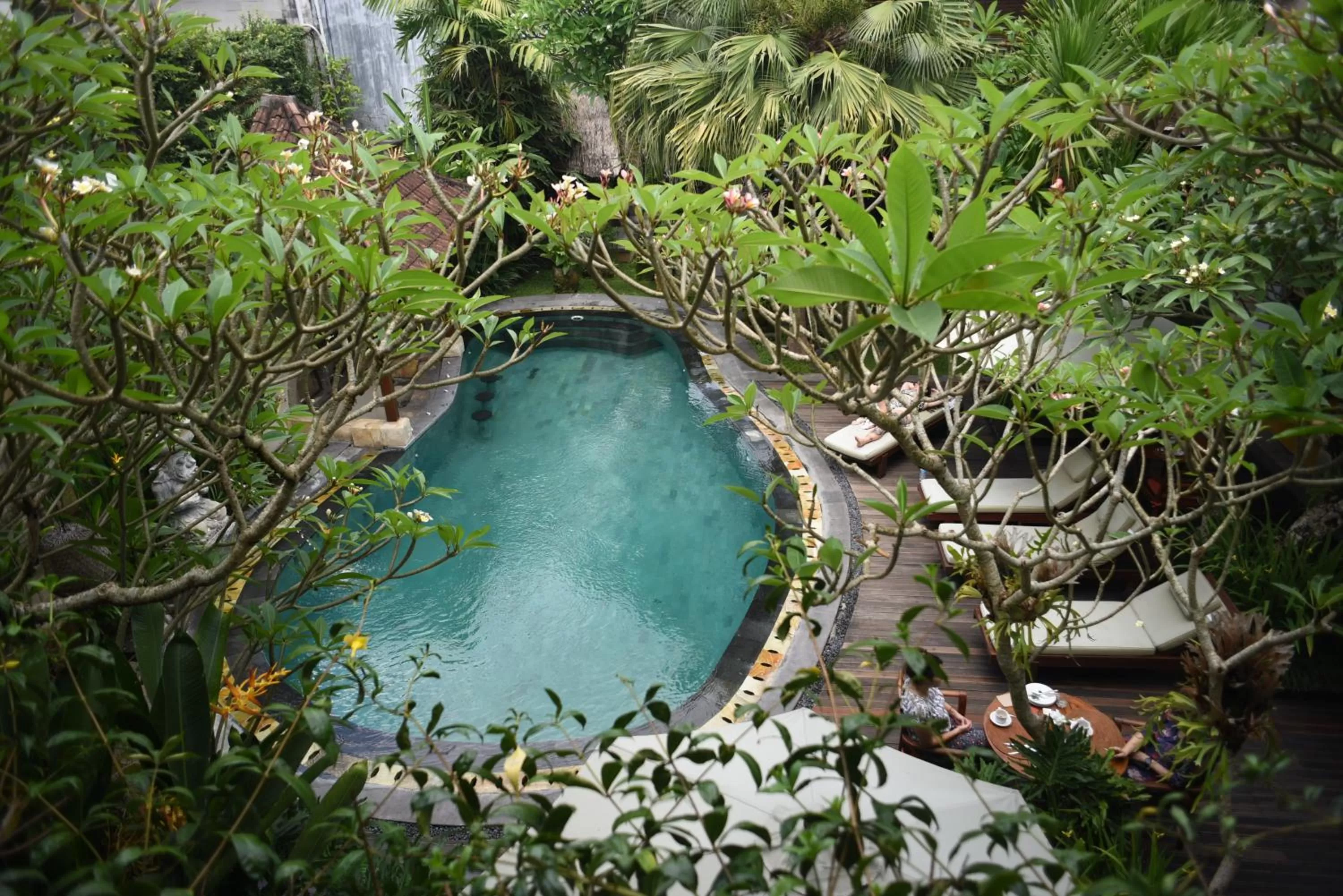 Pool view in Lumbung Sari Ubud Hotel - CHSE Certified