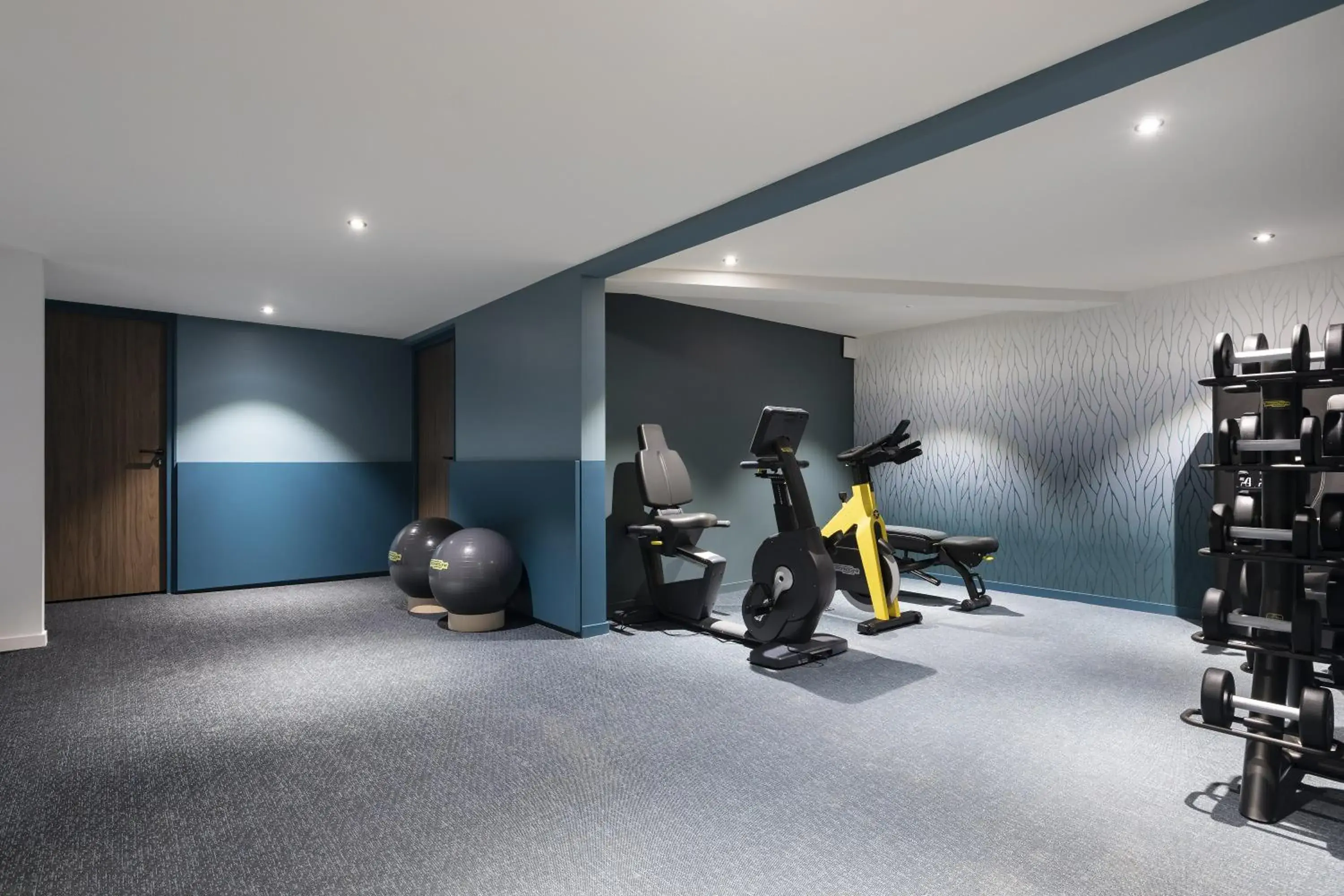 Fitness centre/facilities, Fitness Center/Facilities in Black Bass Hotel