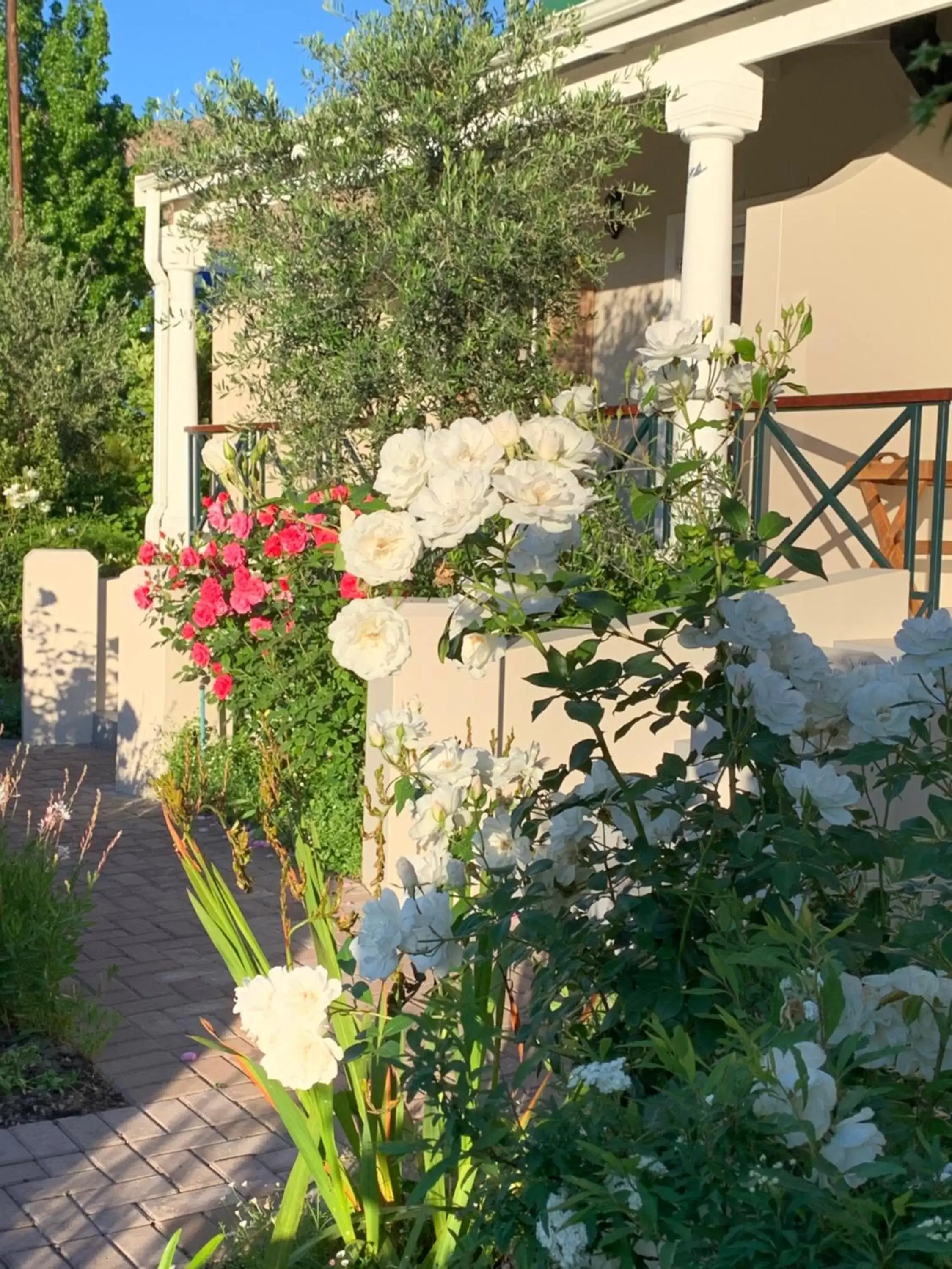 Patio, Garden in Montagu Vines Guesthouse