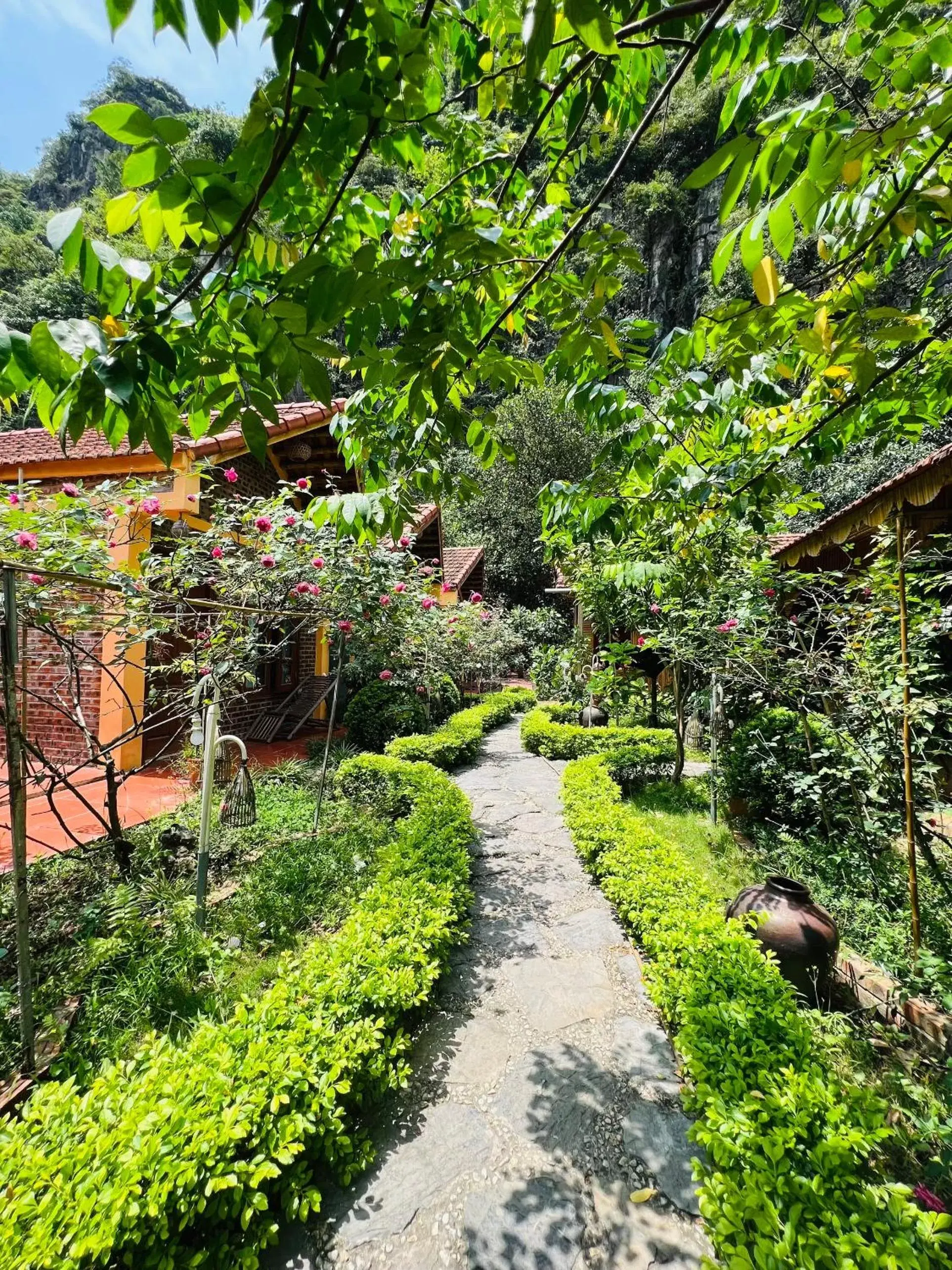 Natural landscape, Garden in Tam Coc Luxury Homestay