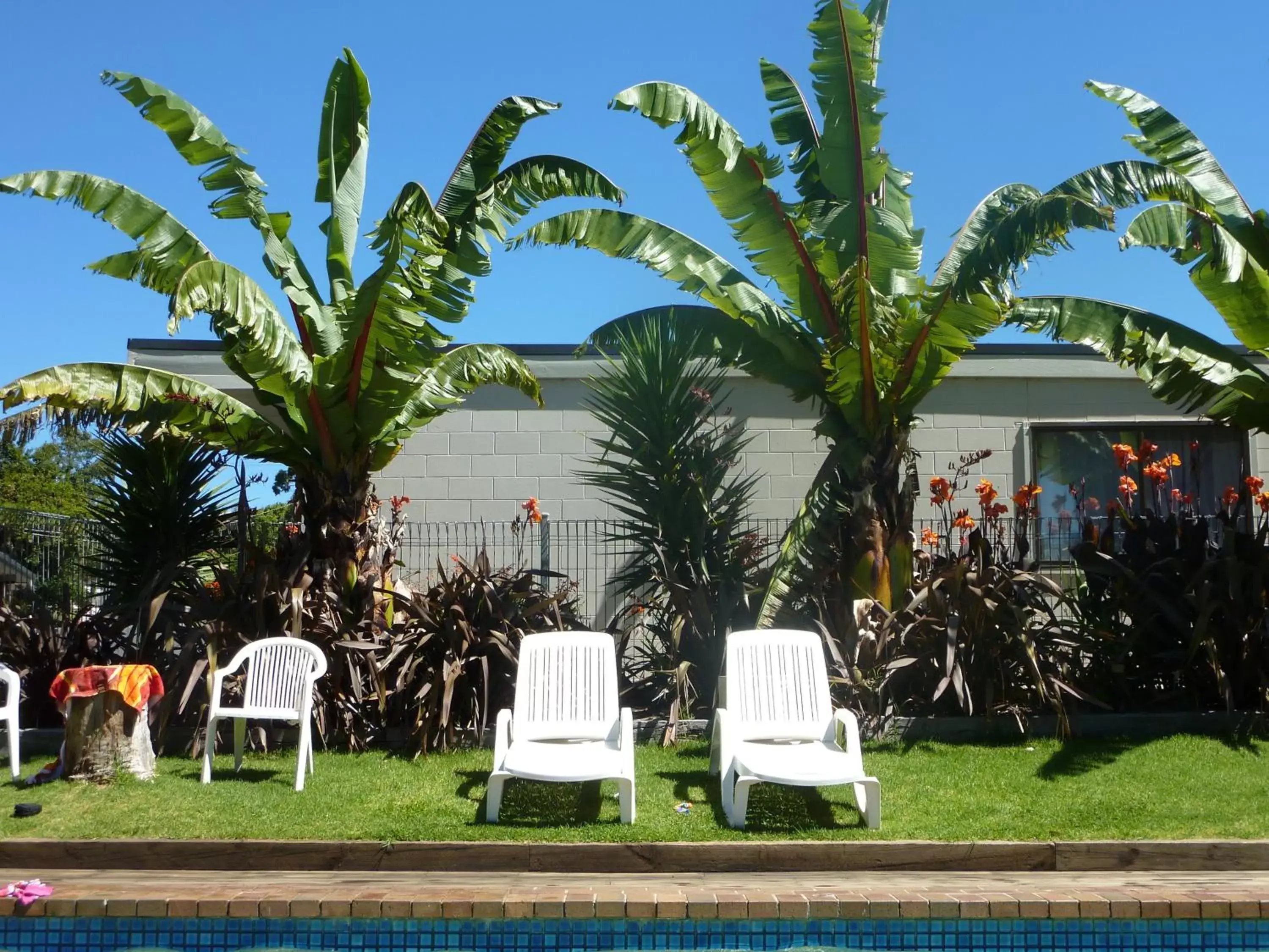 Swimming pool, Garden in Motel Marengo