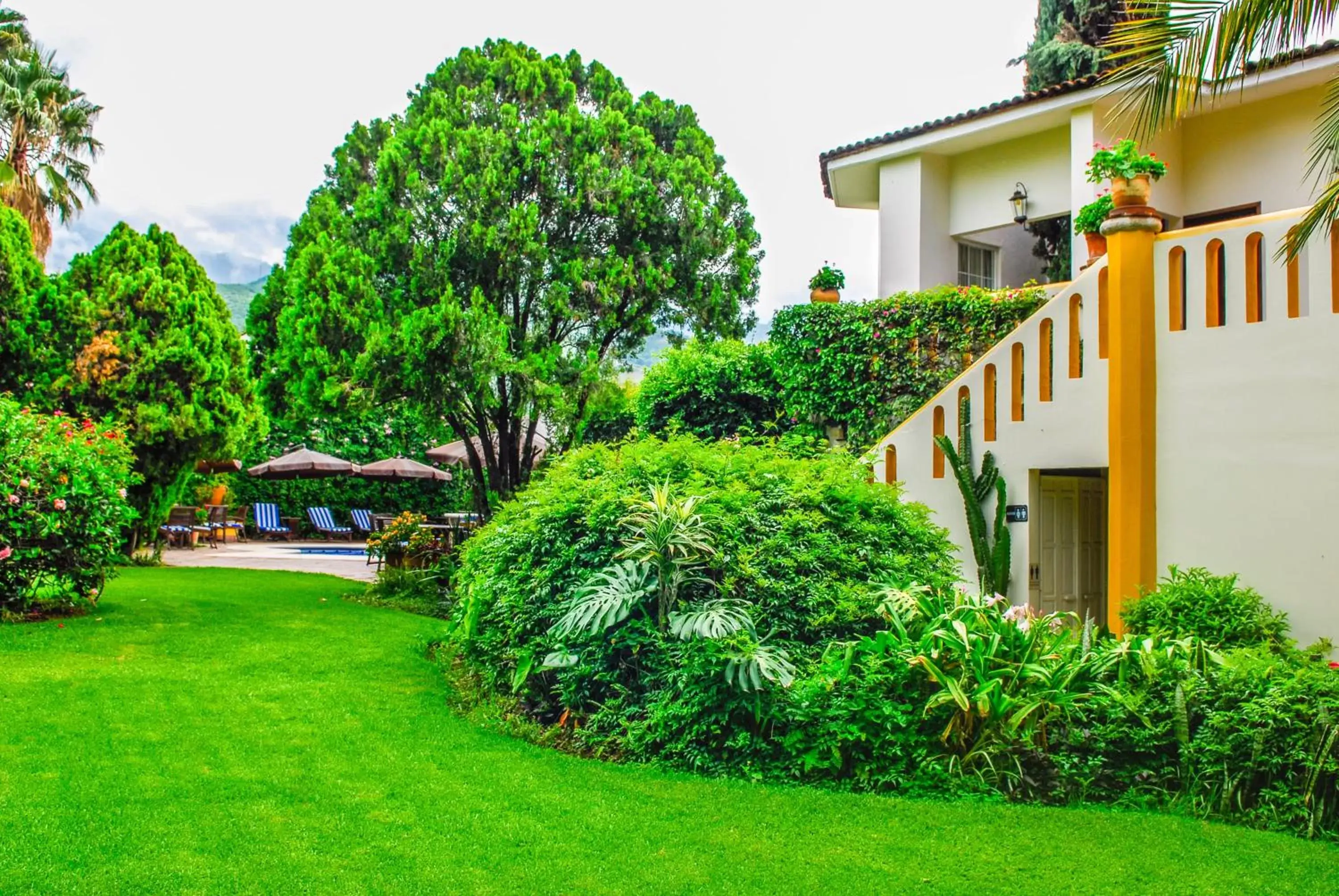 Garden, Property Building in Hotel Hacienda Los Laureles