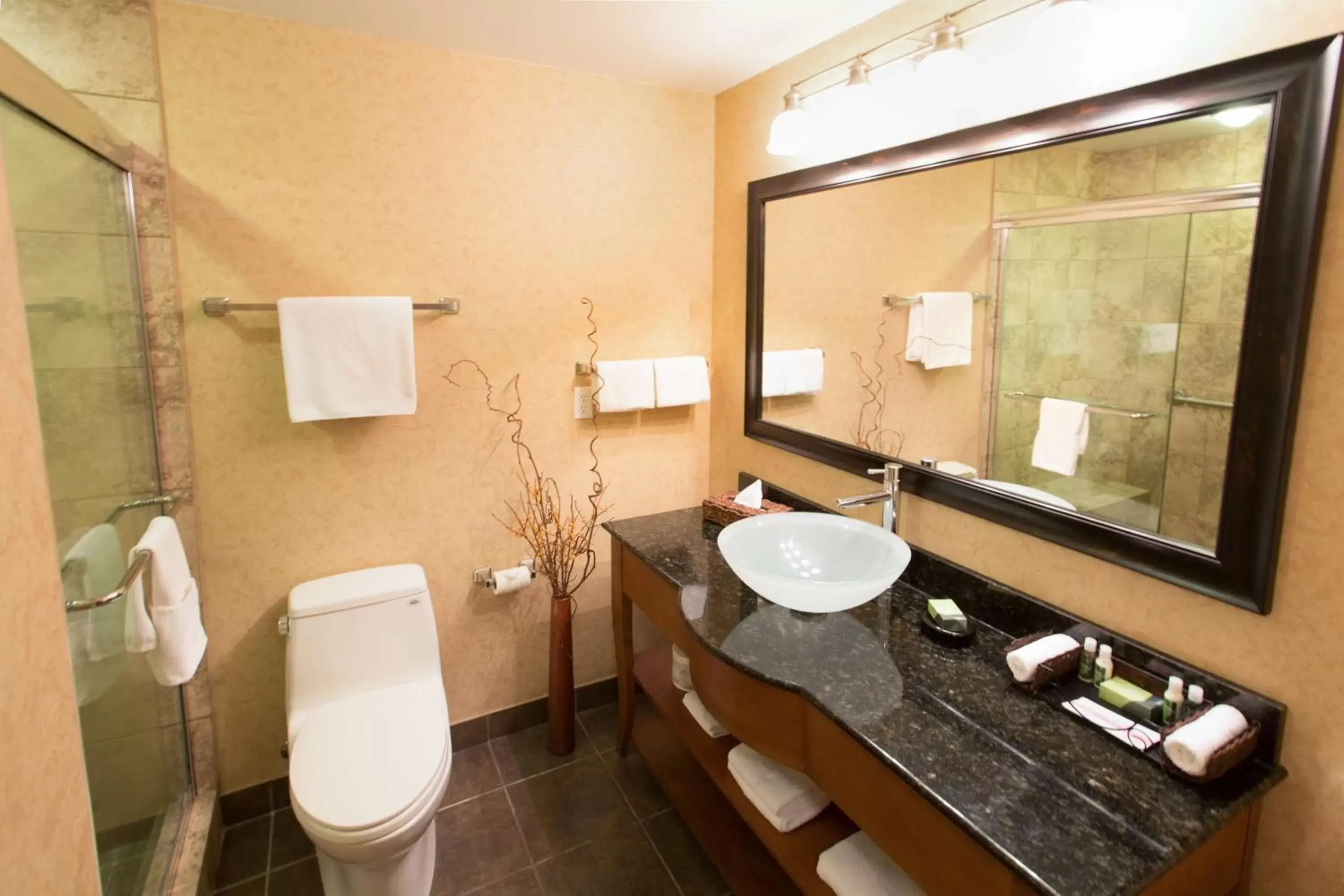 Photo of the whole room, Bathroom in Best Western Sicamous Inn