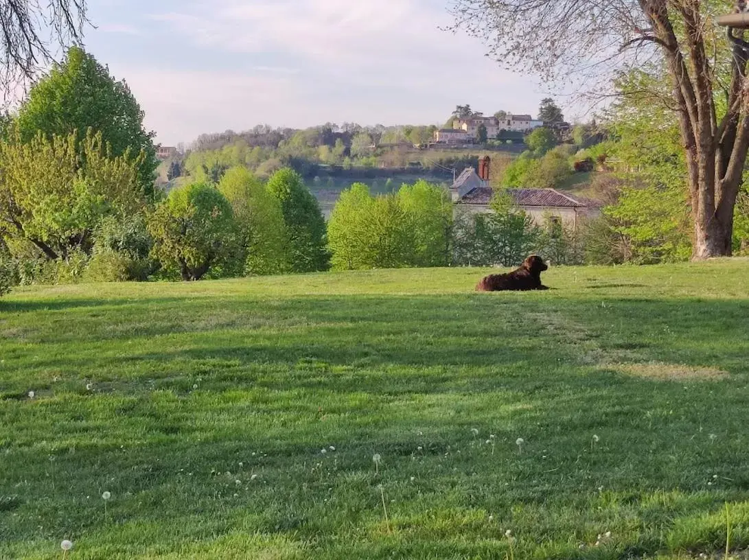 Garden in Villa Pieve