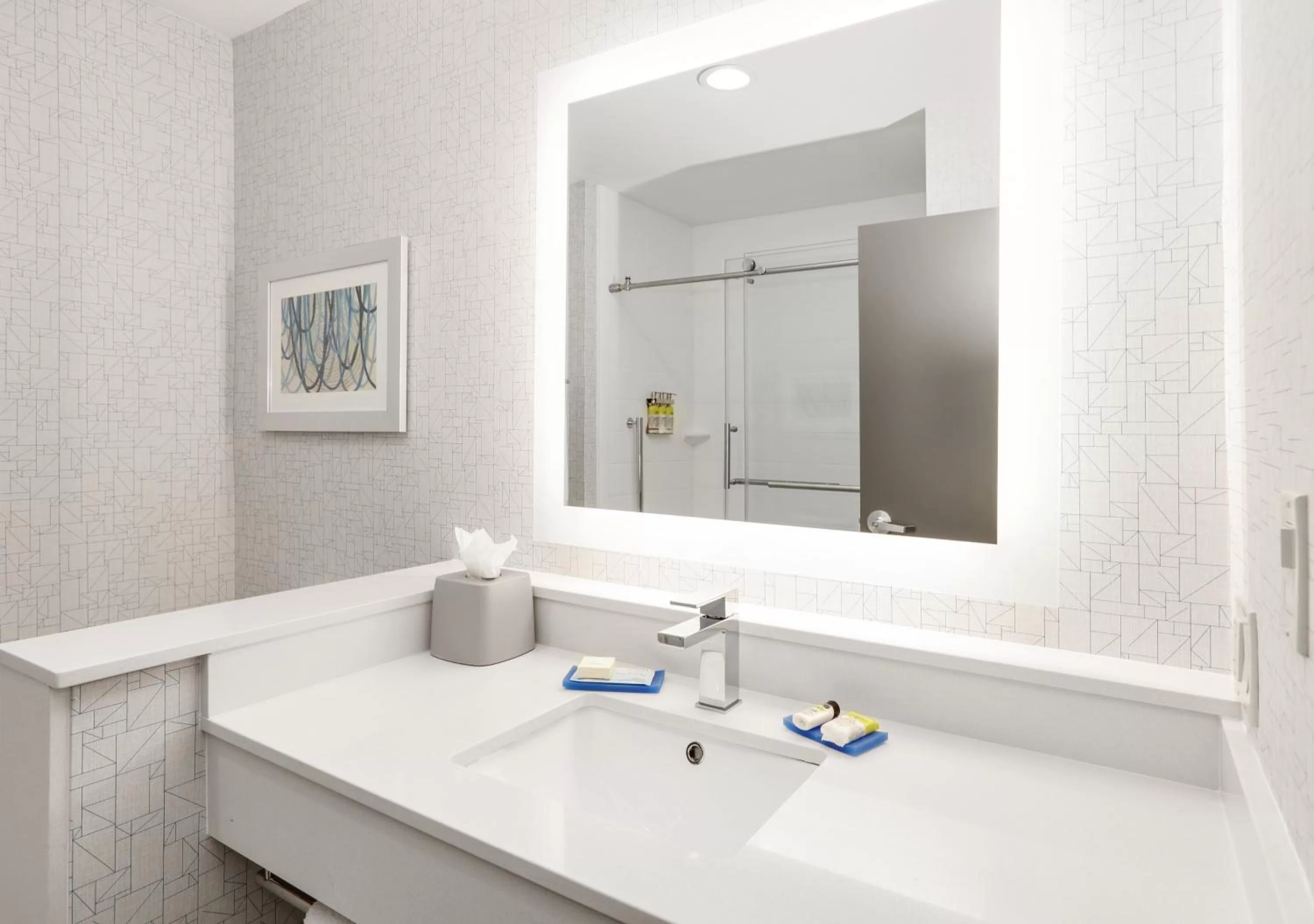 Bathroom in Holiday Inn Express & Suites Dallas NW - Farmers Branch by IHG