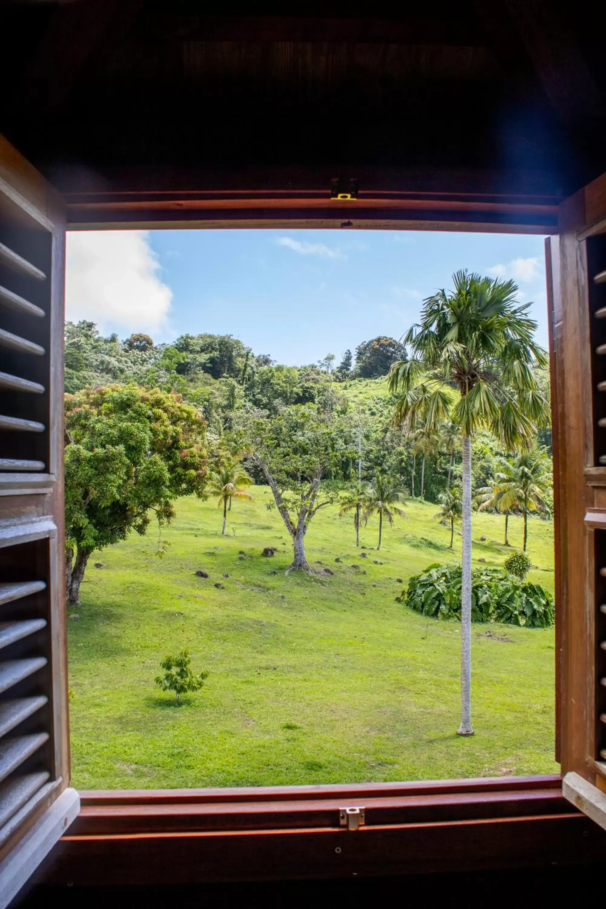 Garden View in Jardin Malanga