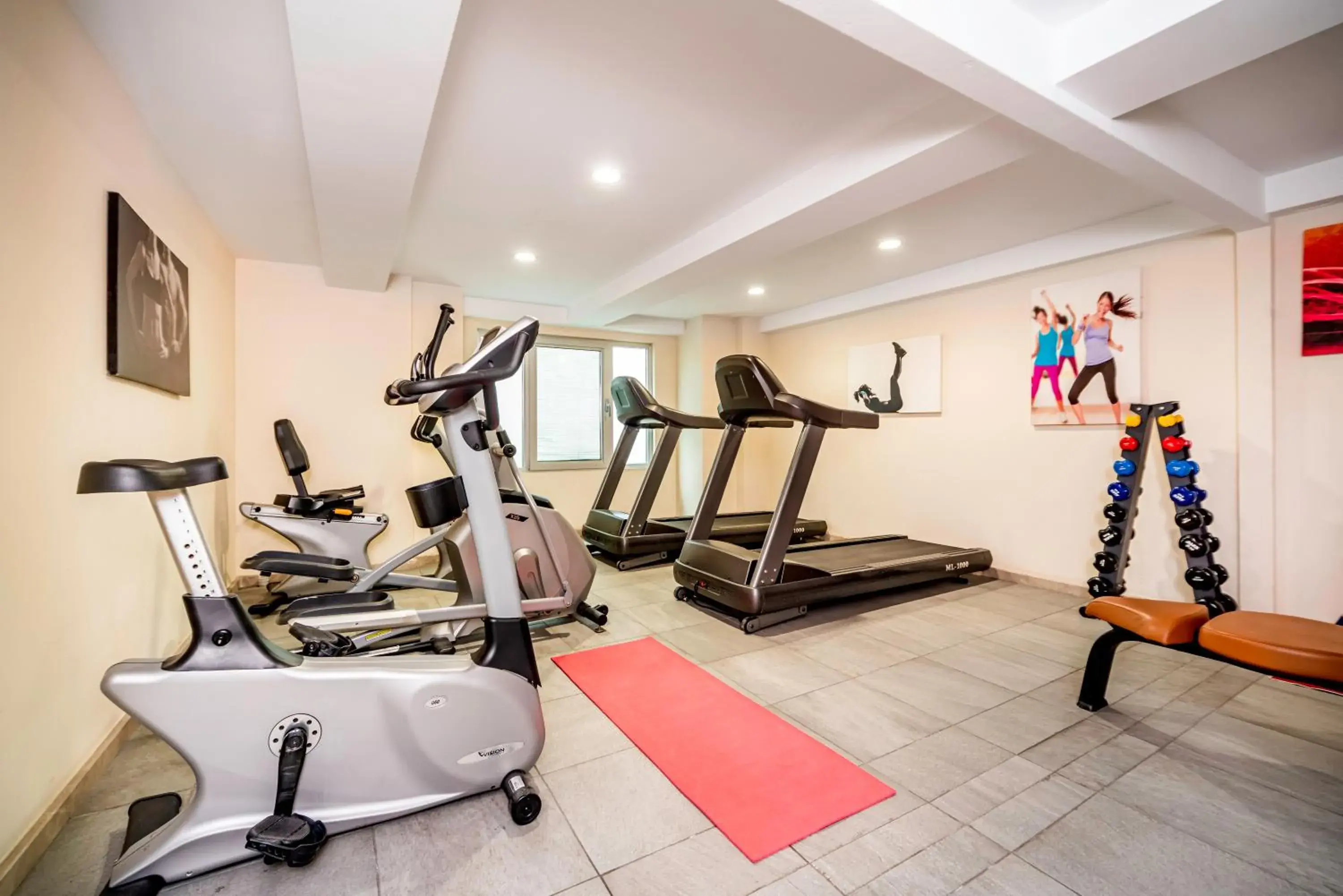 Fitness centre/facilities, Fitness Center/Facilities in Rox Hotel Istanbul