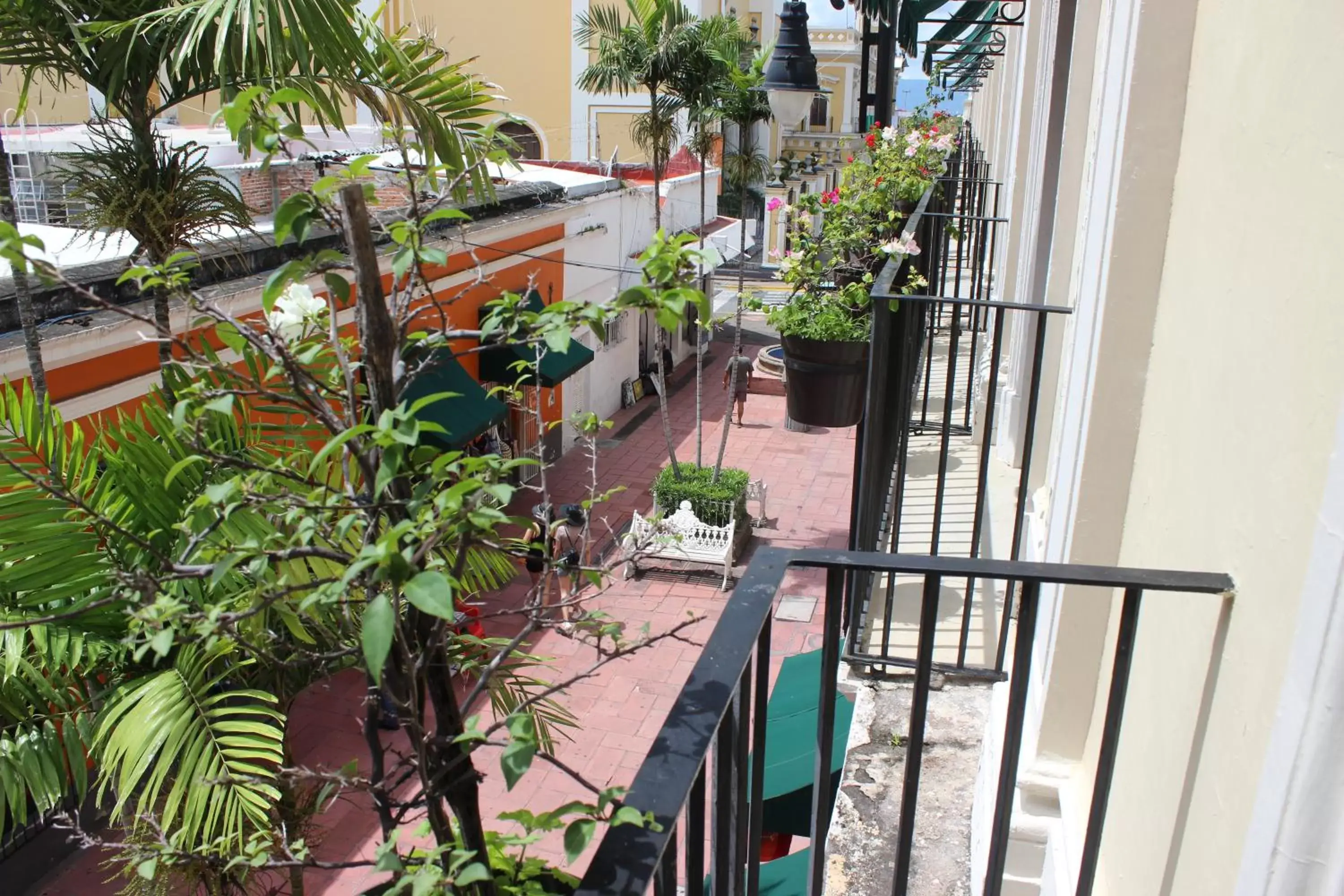 Street view, Balcony/Terrace in Hotel Concierge Plaza Colima