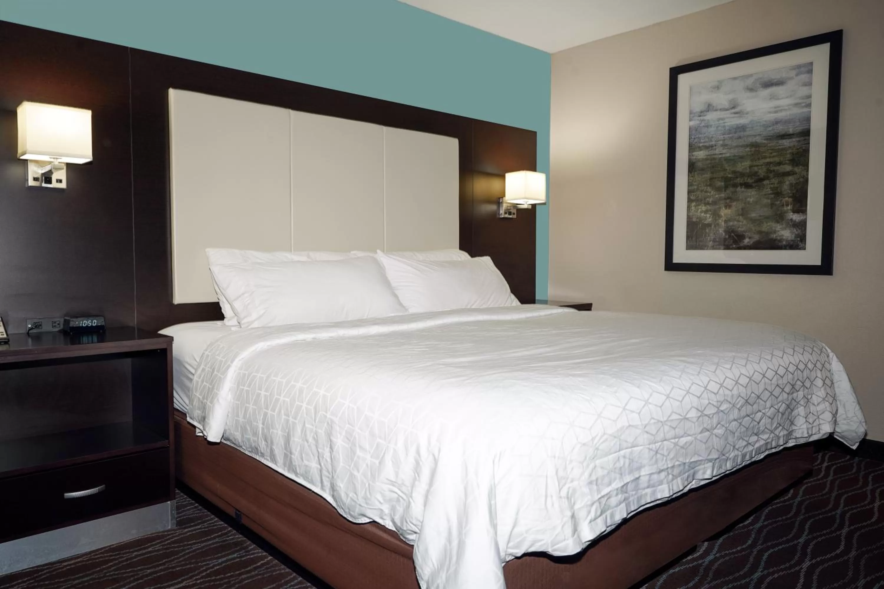 Bed in Holiday Inn Express Boise Downtown by IHG