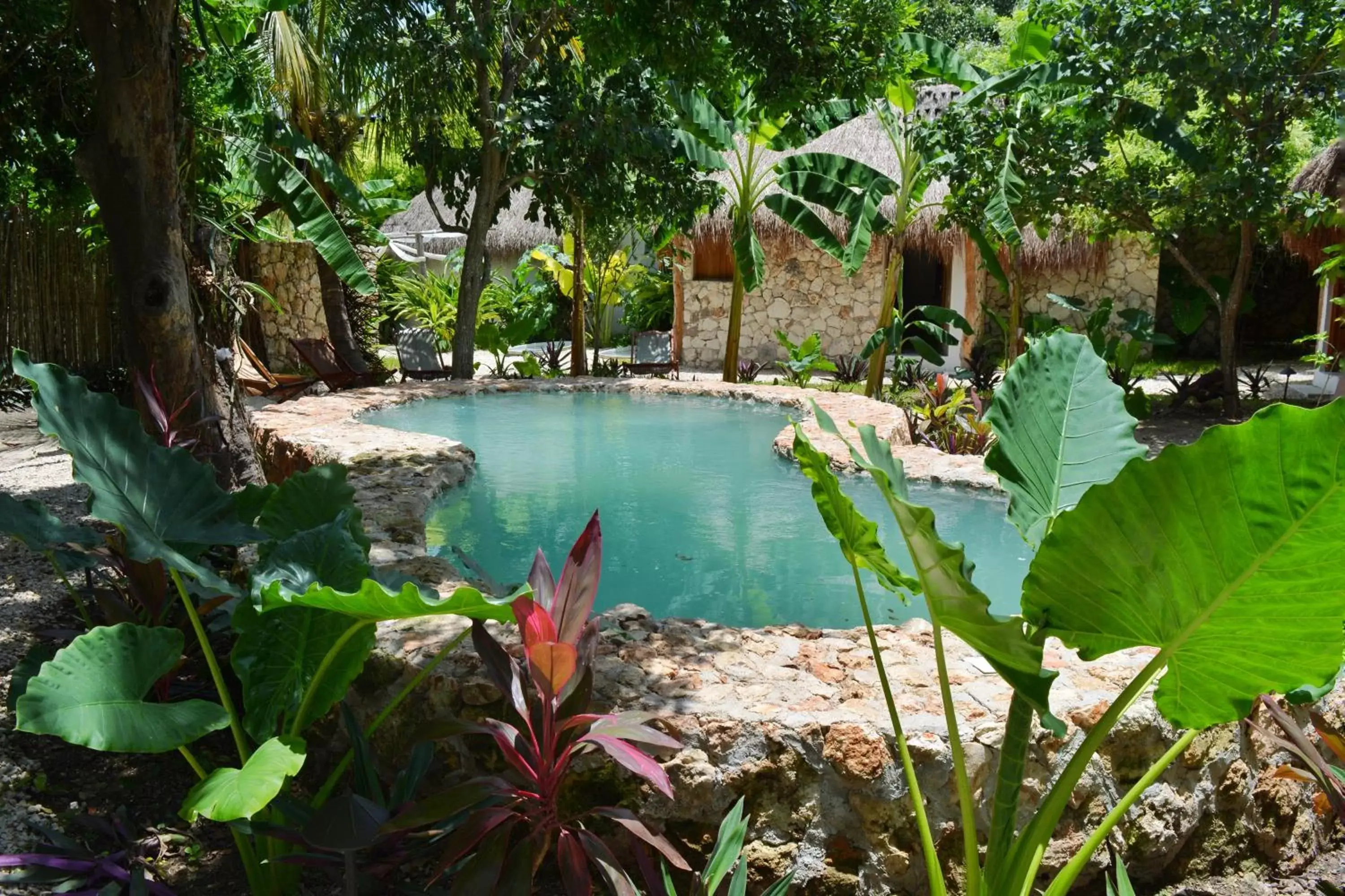 Natural landscape, Swimming Pool in Aldea Che-eek