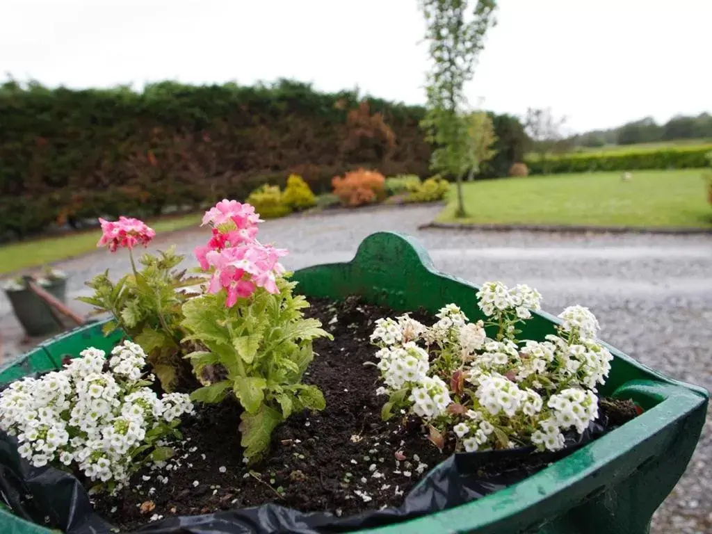 View (from property/room) in Dun Cromain B&B