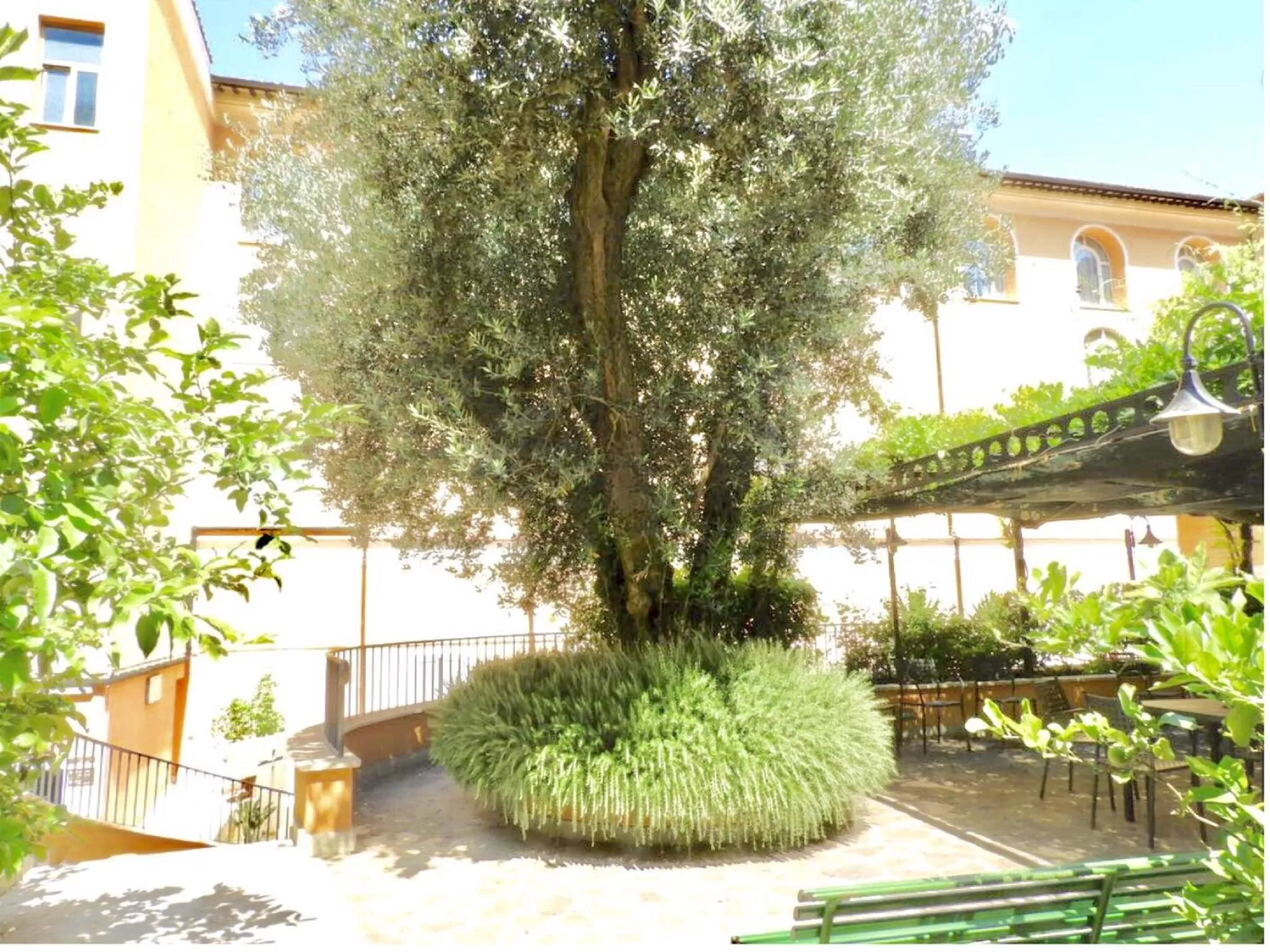 Day in Basilica Hotel