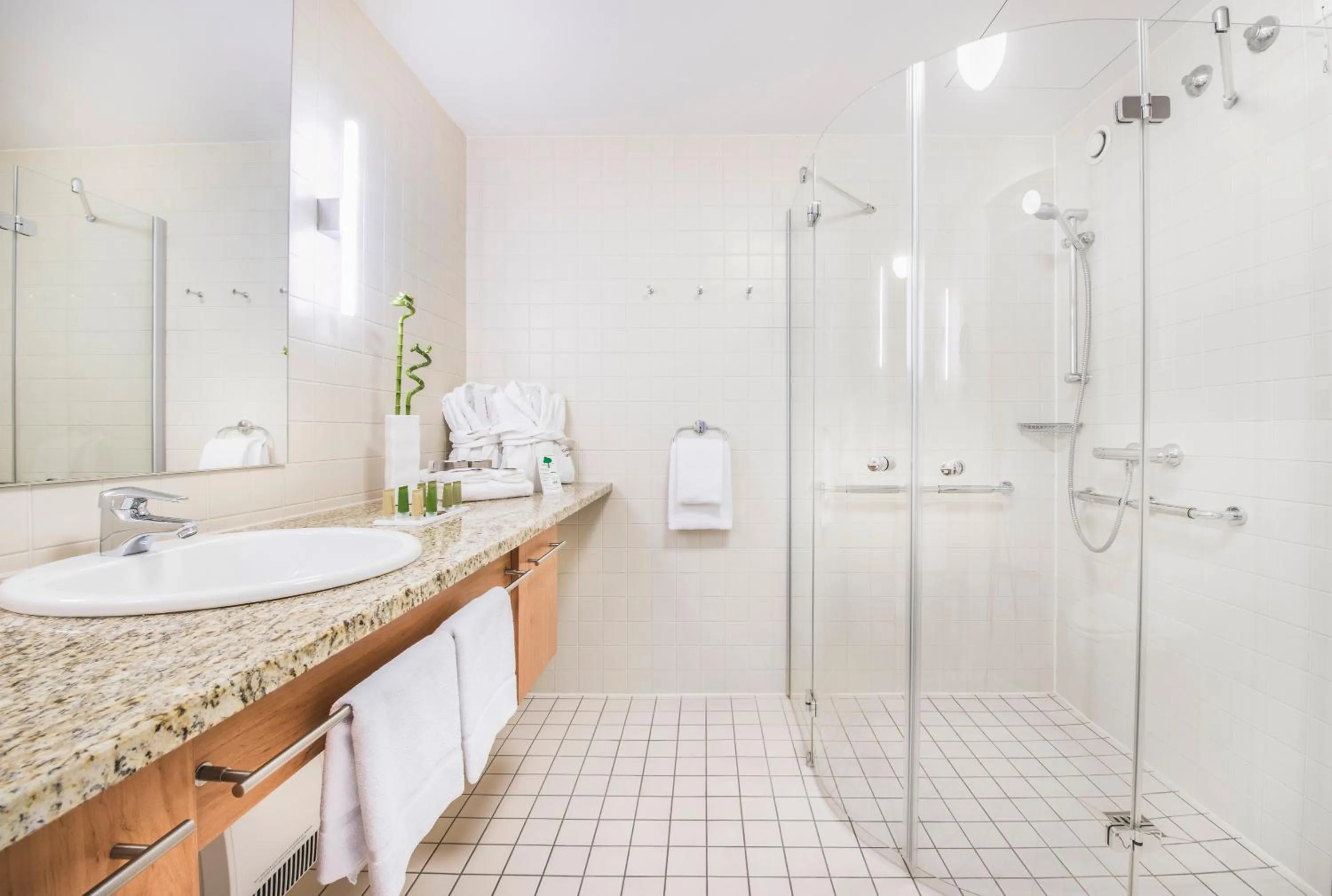 Bathroom in Collegium Leoninum