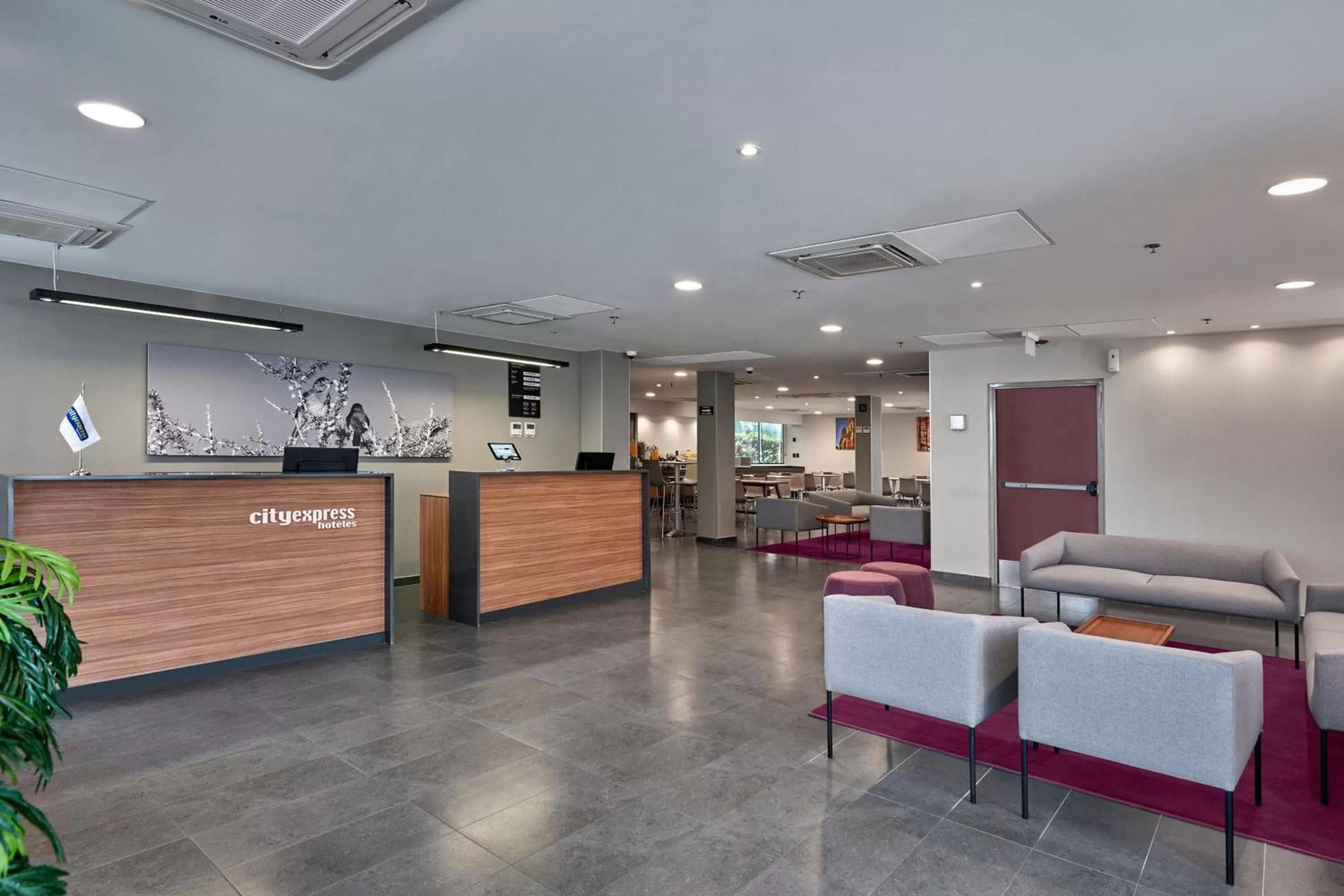 Lobby or reception in City Express by Marriott San Luis Potosi Zona Industrial