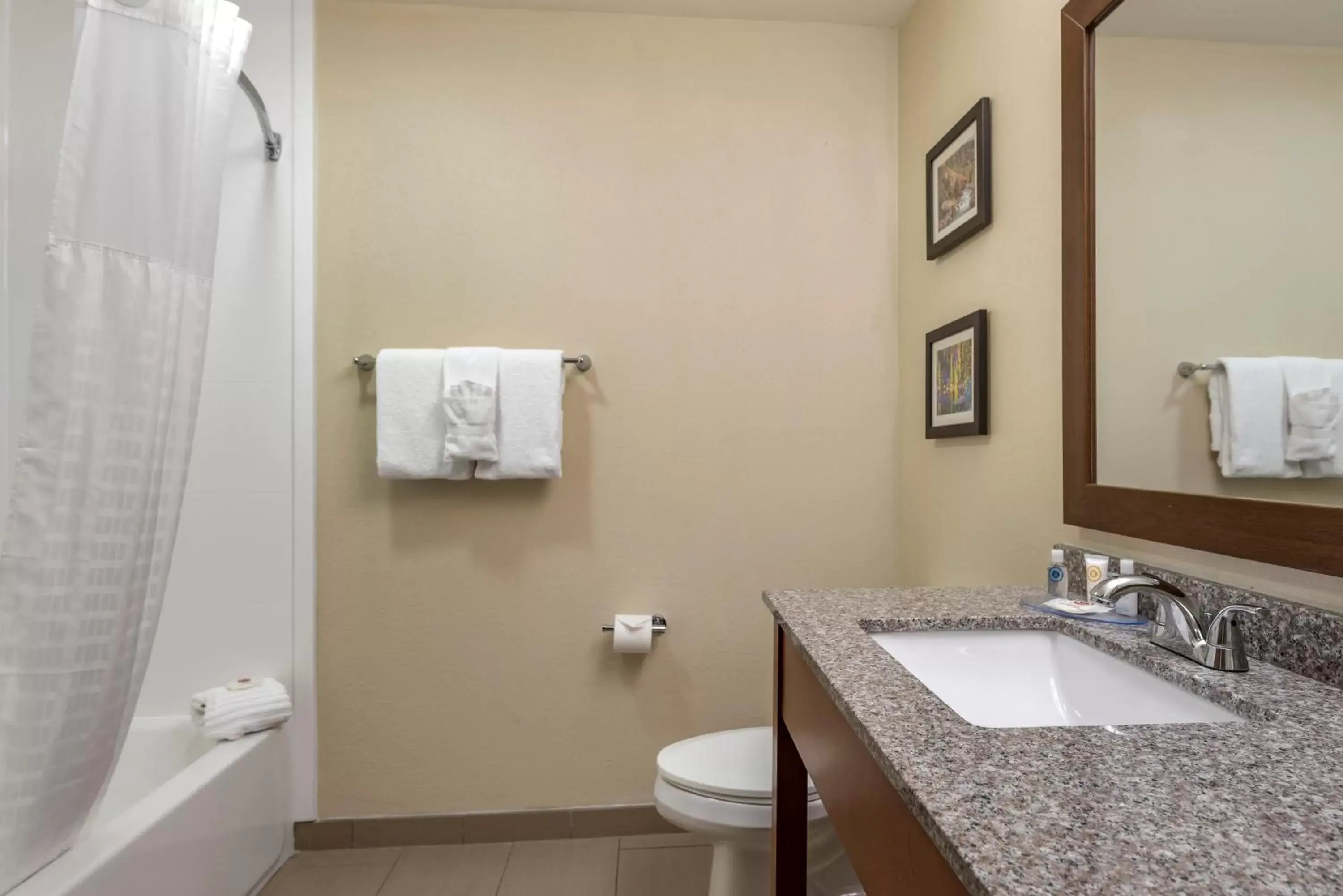 Bathroom in Comfort Inn & Suites Pueblo