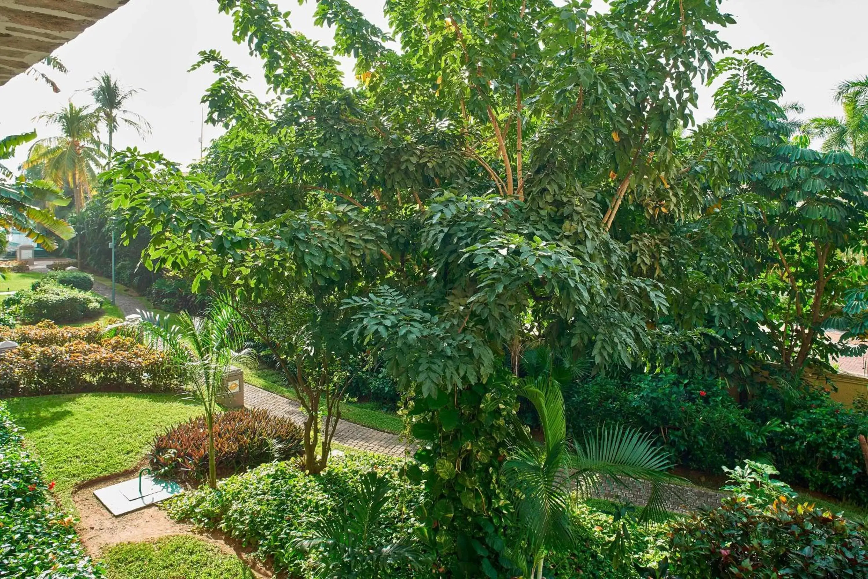 Photo of the whole room, Garden in Marriott Puerto Vallarta Resort & Spa
