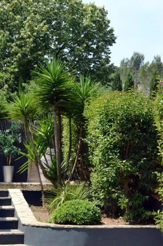 Garden in Les Jardins De Galicia