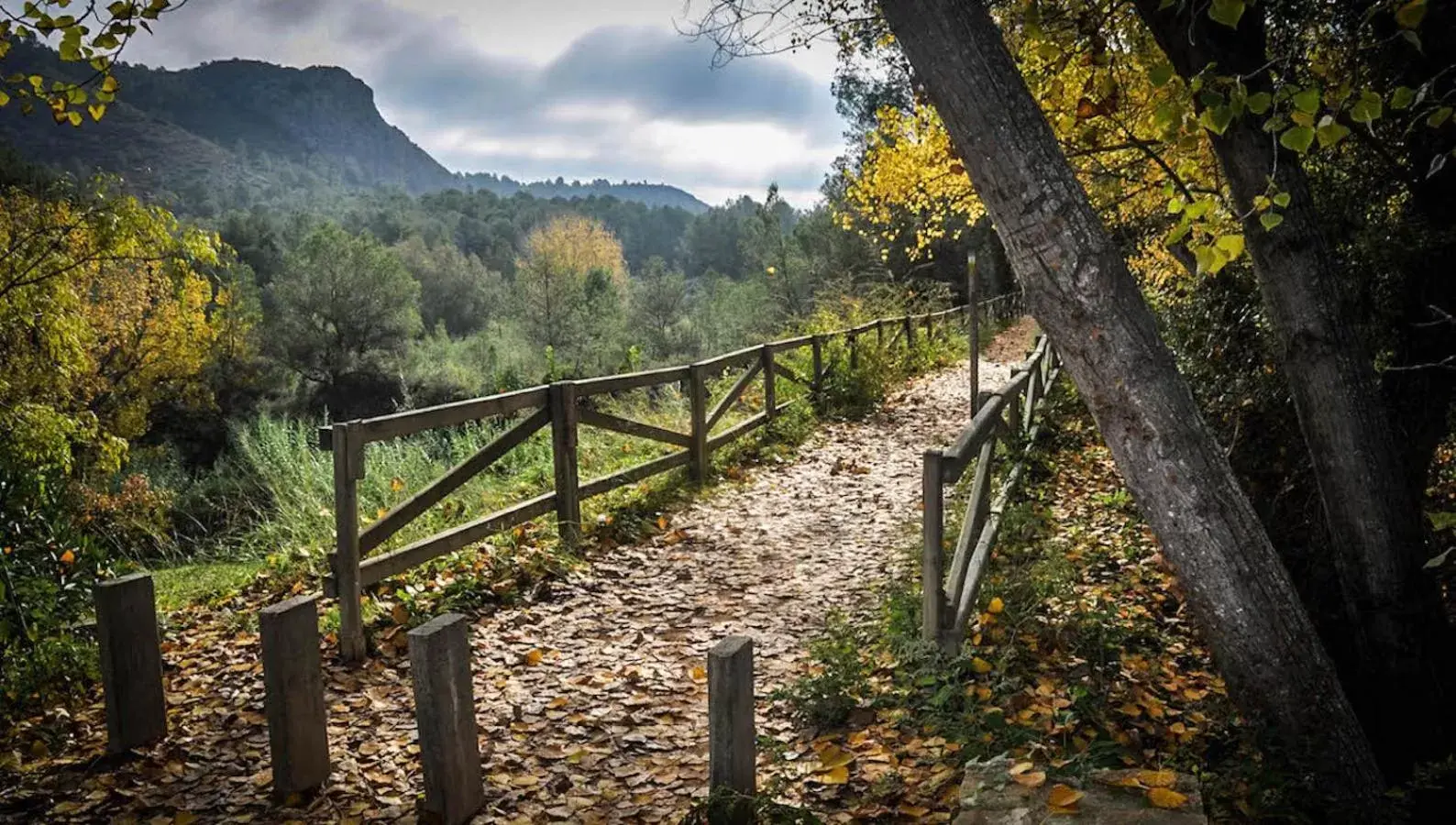 Natural landscape in La Maga Rooms