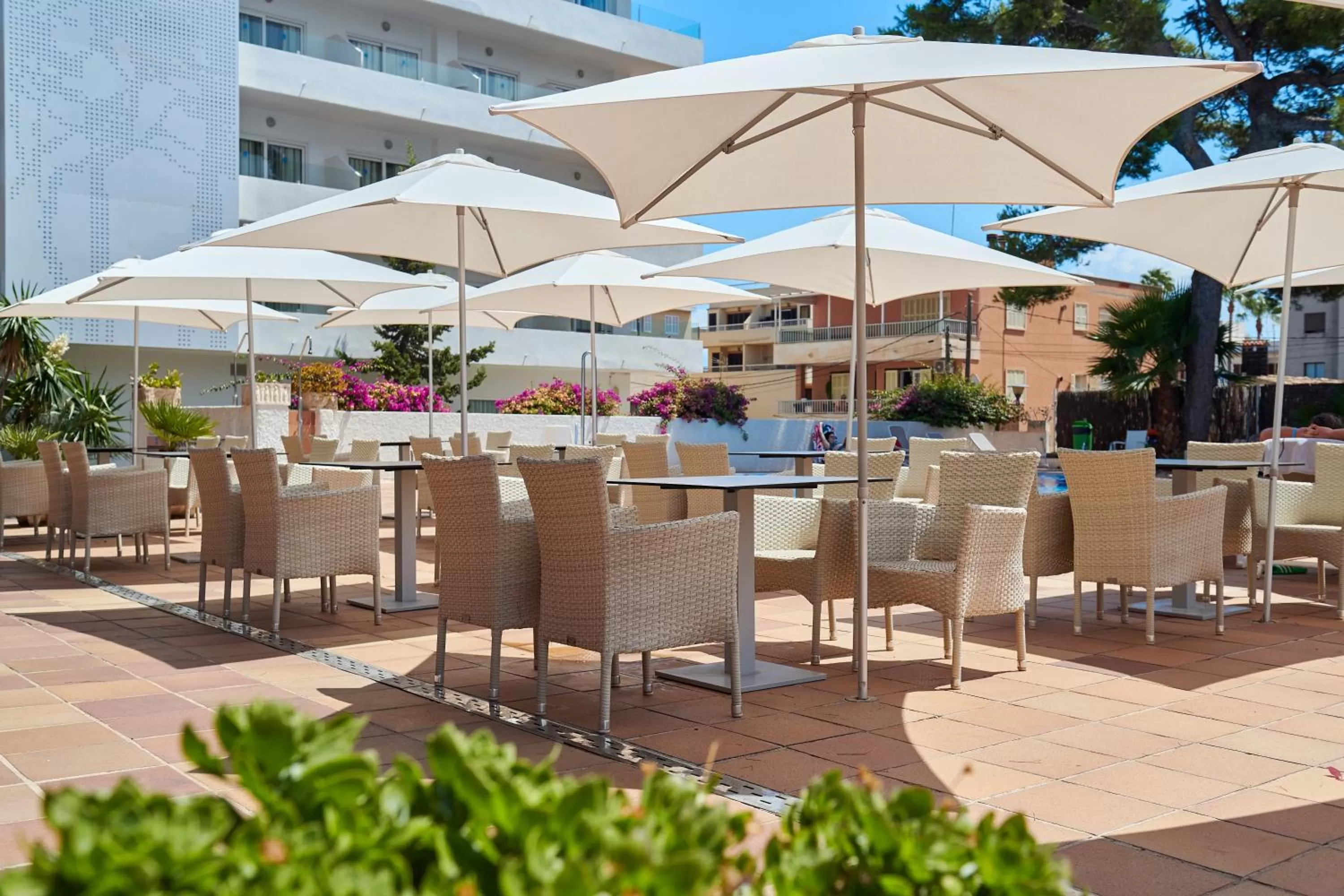 Swimming pool in Grupotel Montecarlo