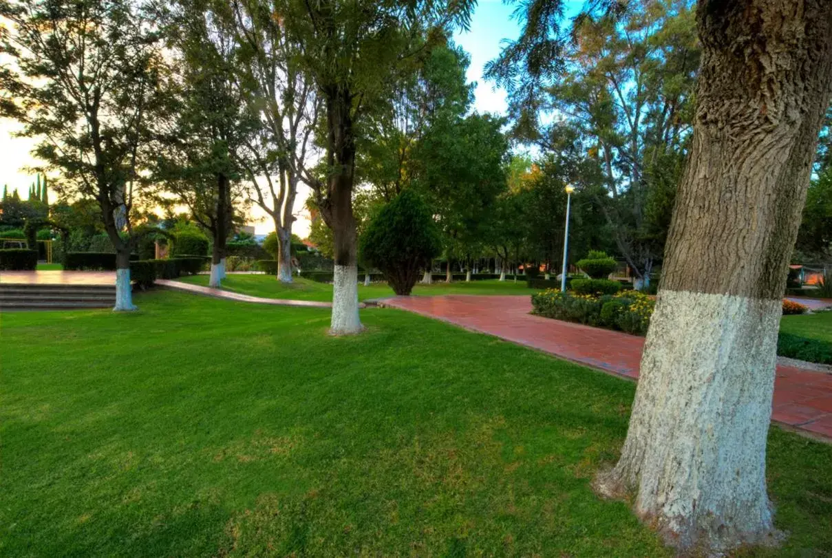 Day, Garden in Hotel Las Trojes