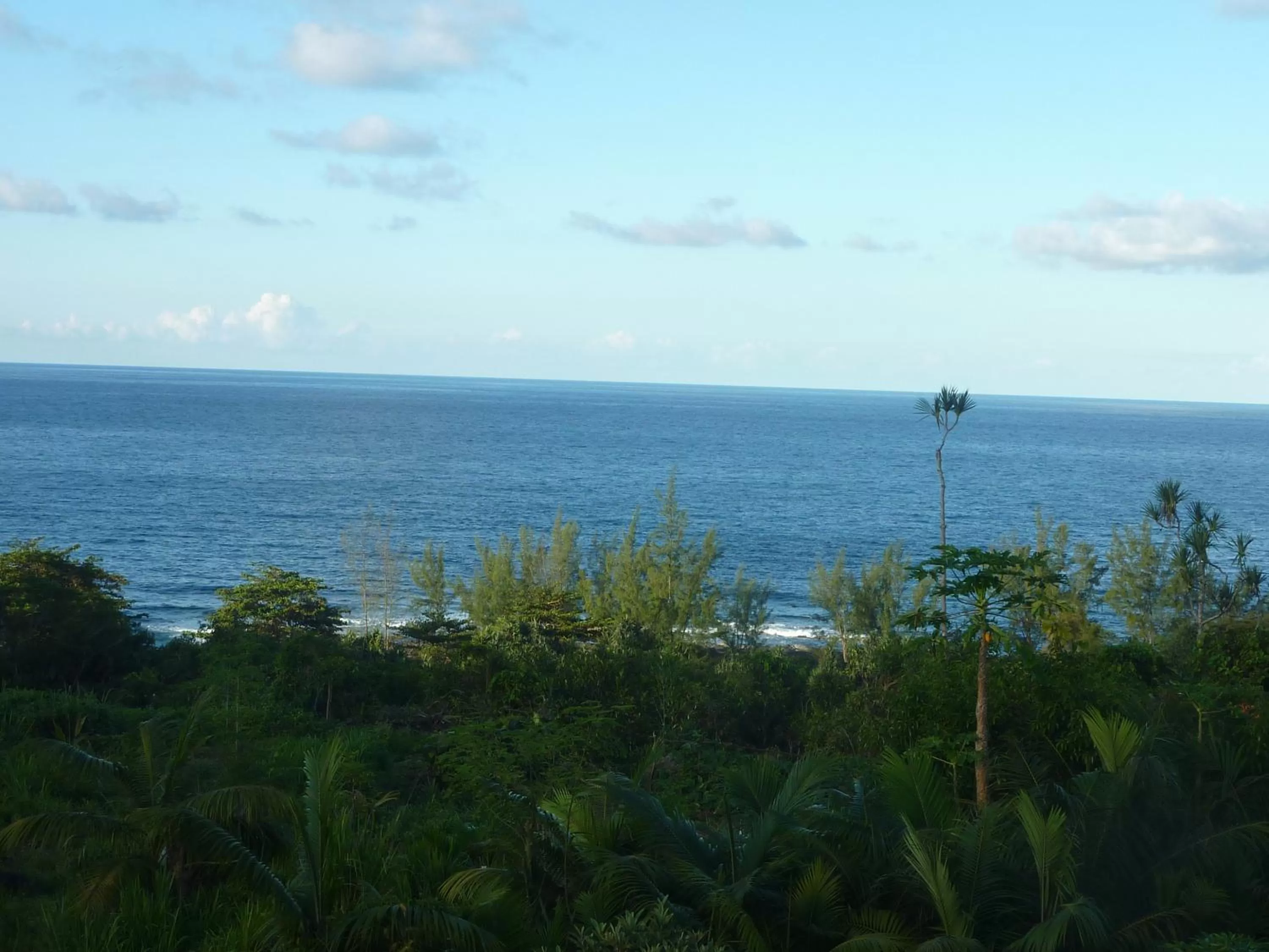 Natural landscape in La Pointe au Corail