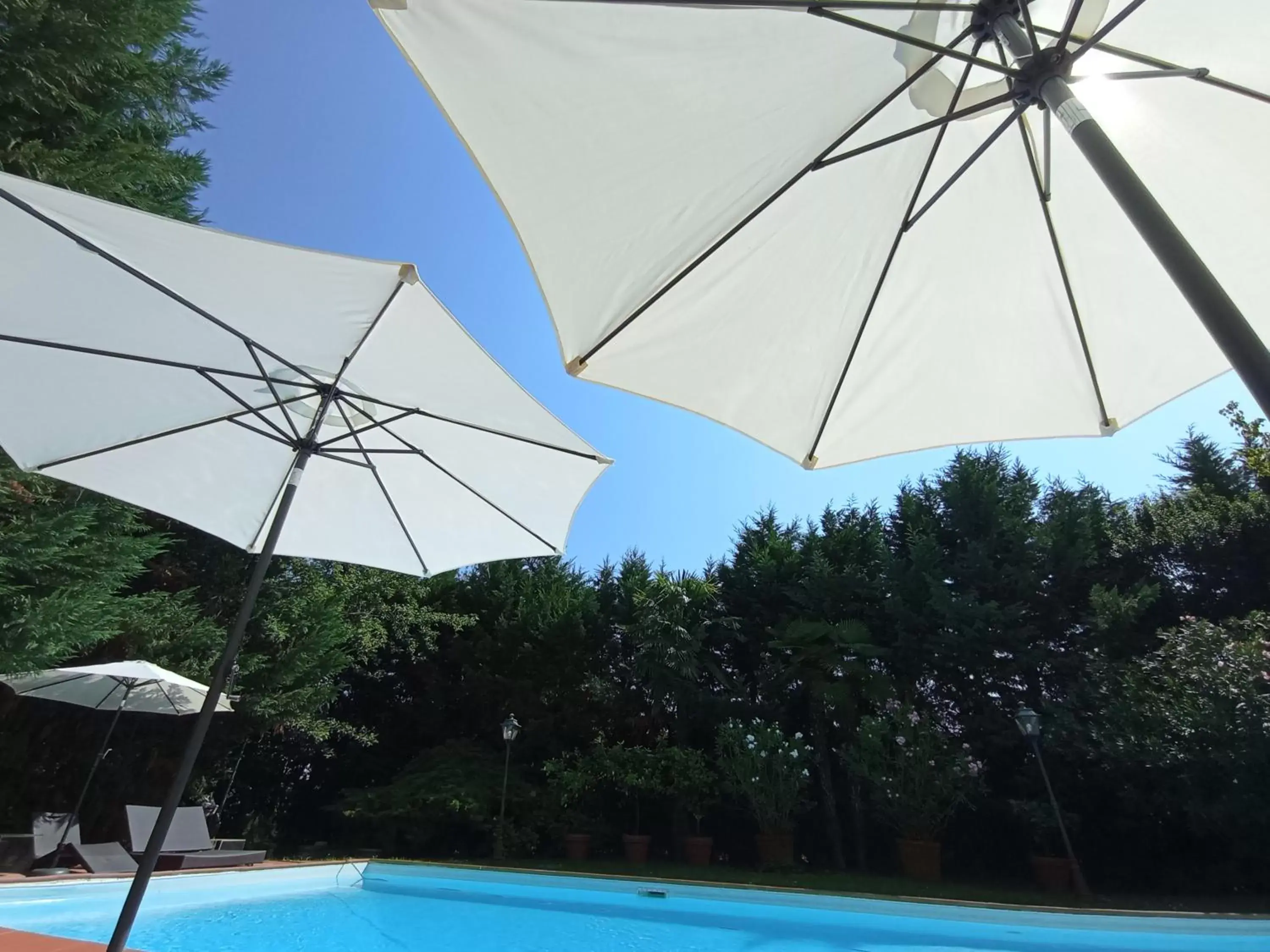 Swimming Pool in Villa delle palme B&B 5 stelle