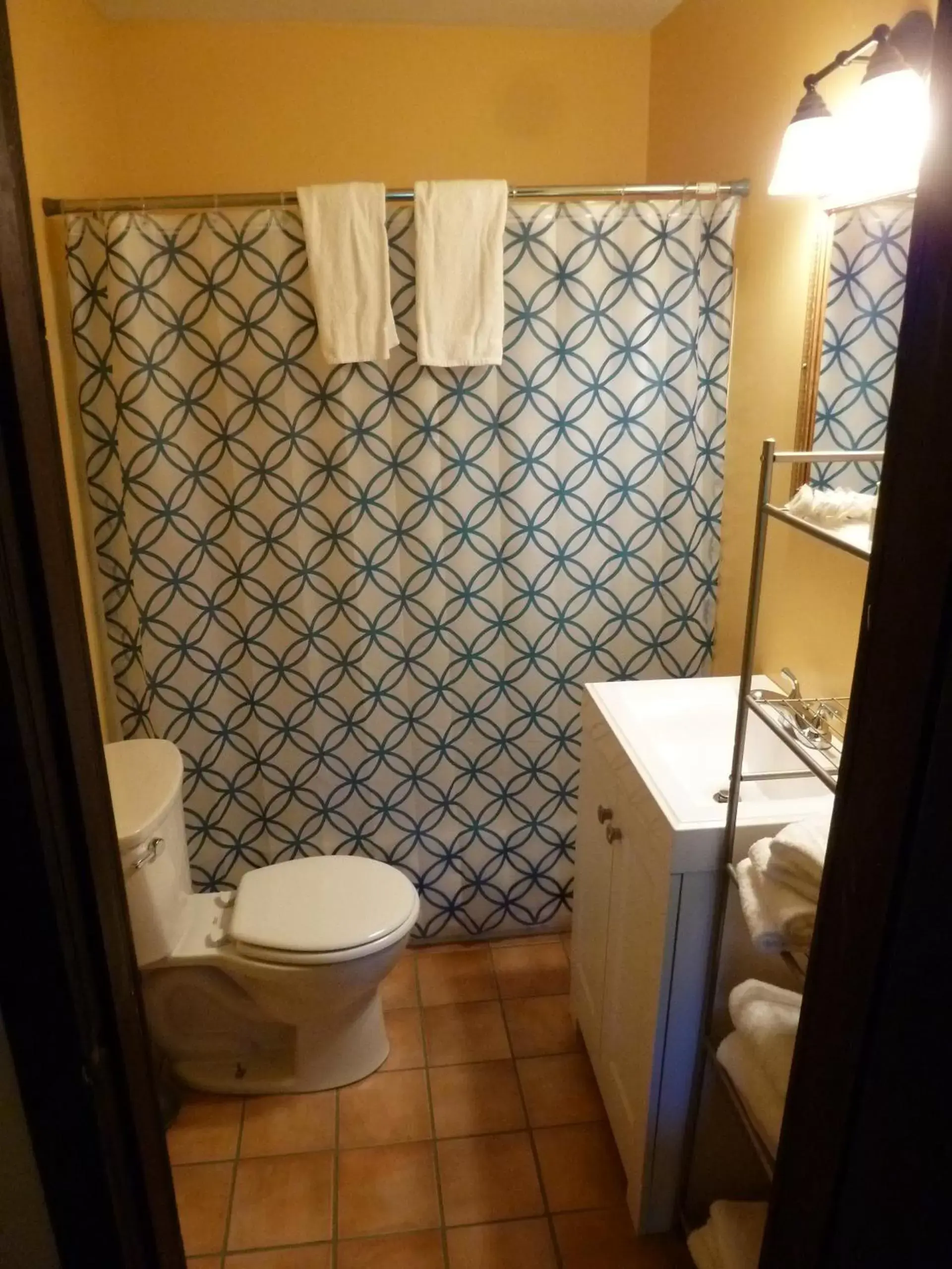 Shower, Bathroom in Viking Motel