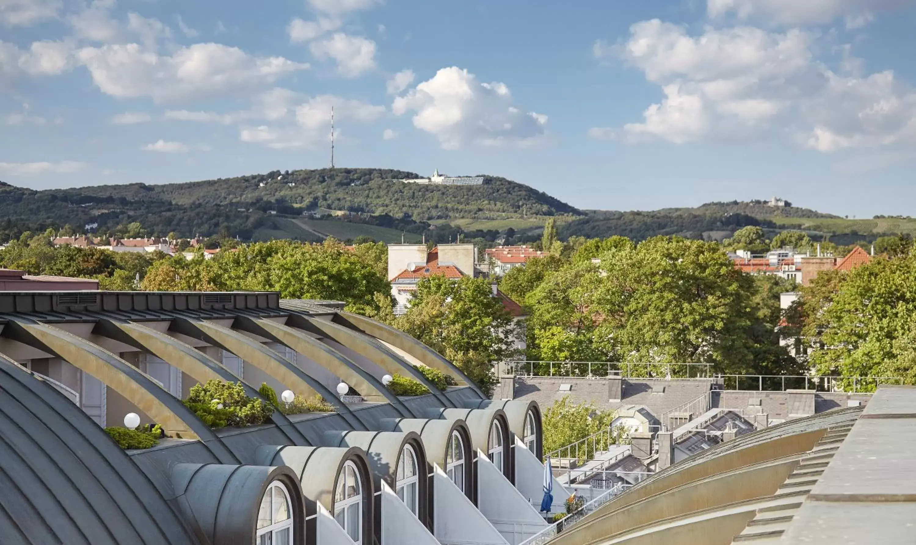 Mountain view in Living Hotel Kaiser Franz Joseph