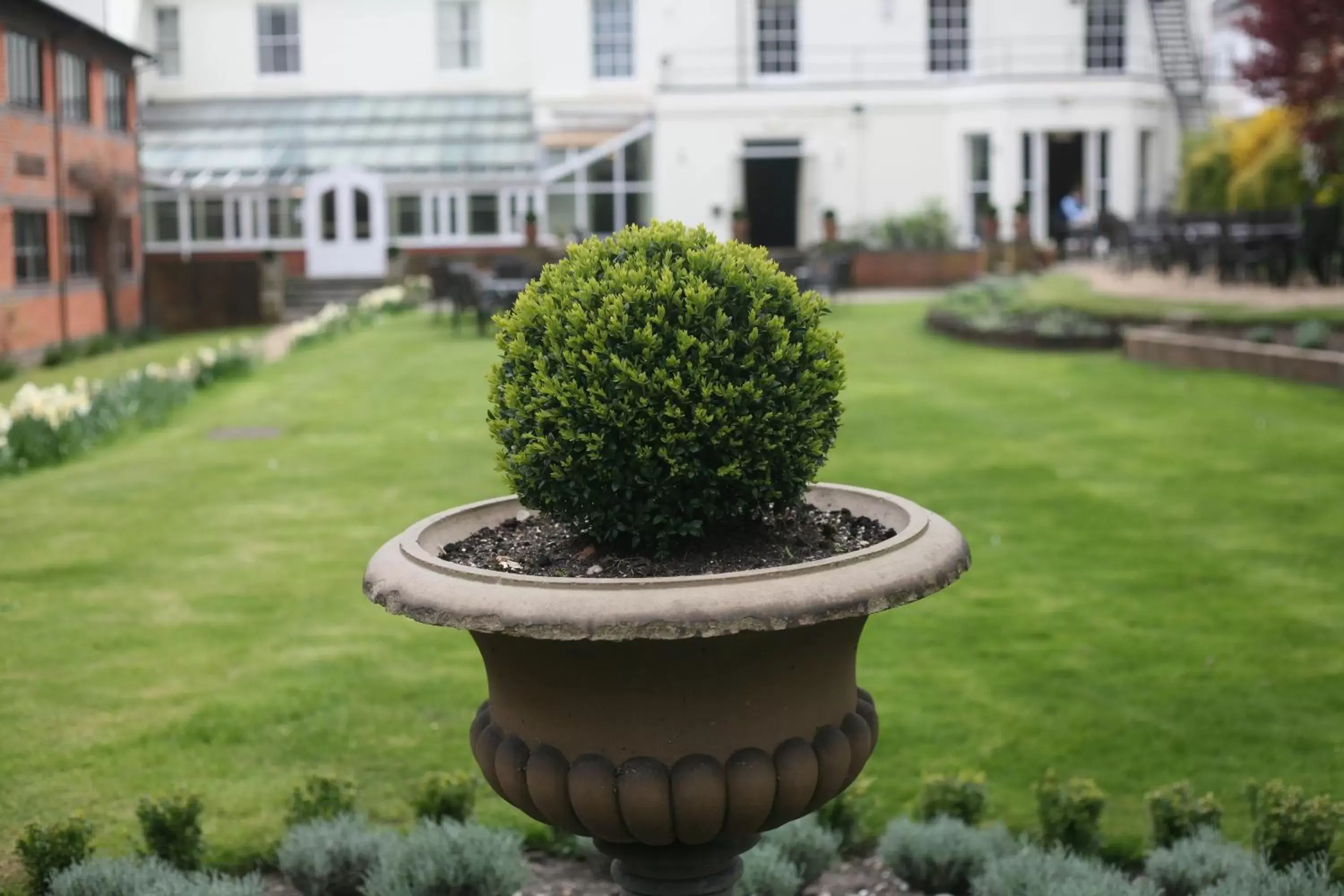 Garden in Winchester Royal Hotel