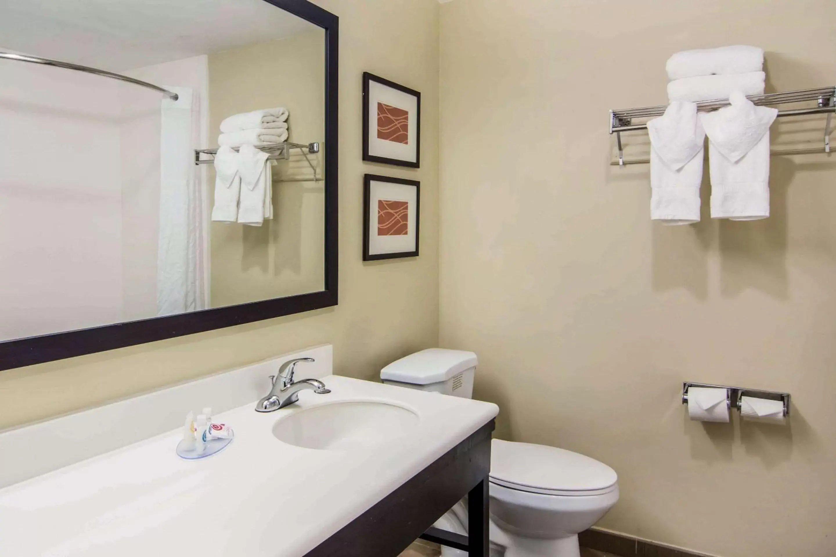 Photo of the whole room, Bathroom in Comfort Inn Atlanta Downtown