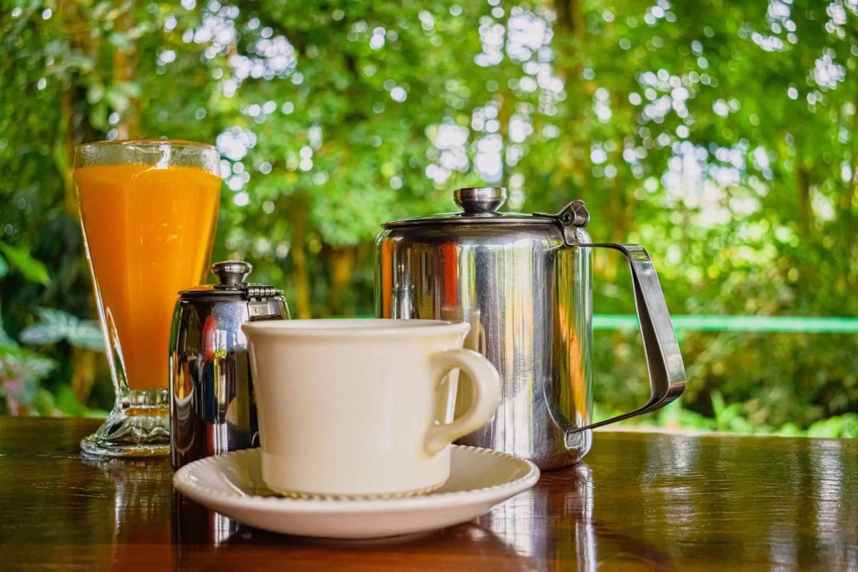 Breakfast in Arenal Descanso