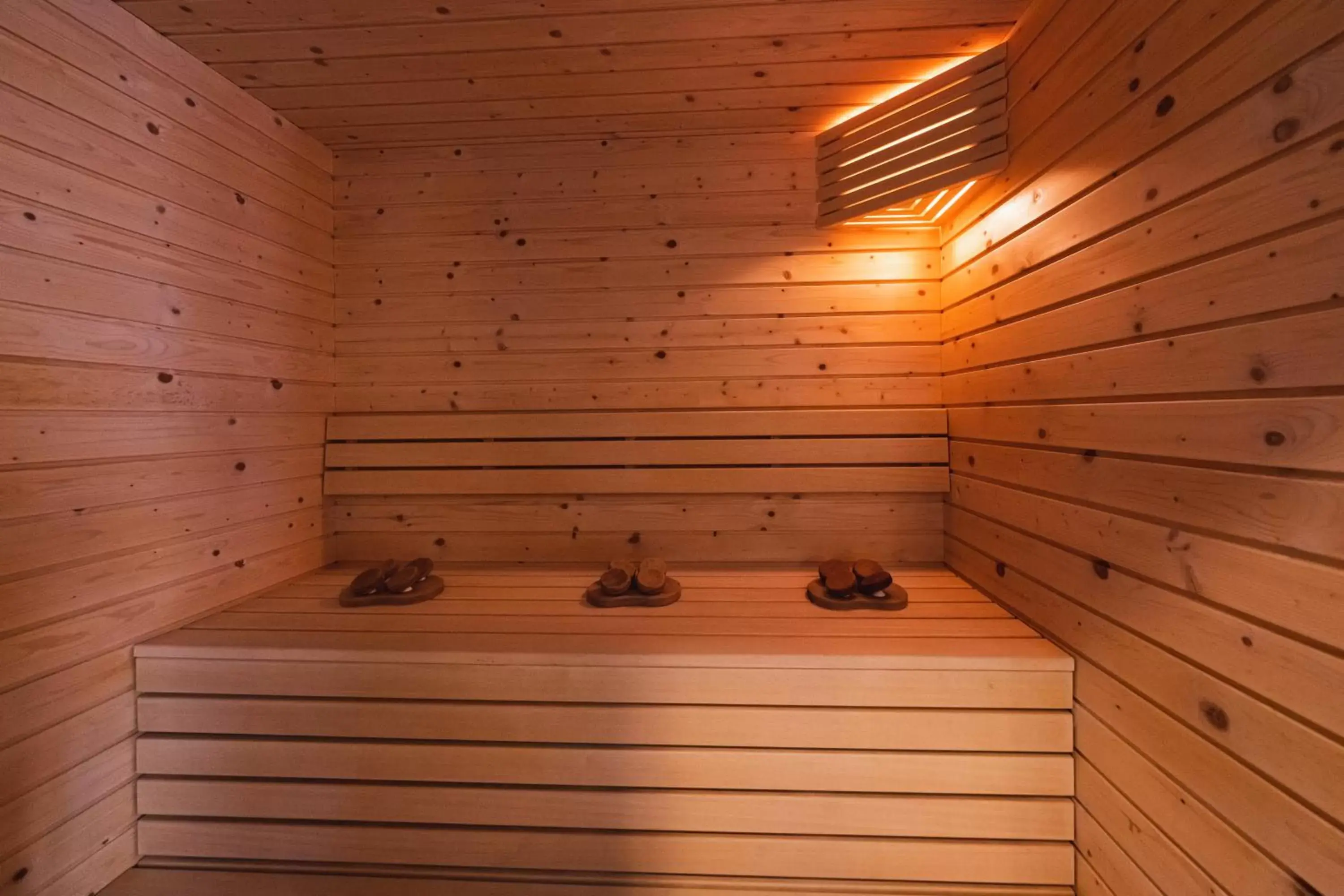 Sauna in Parini Hotel