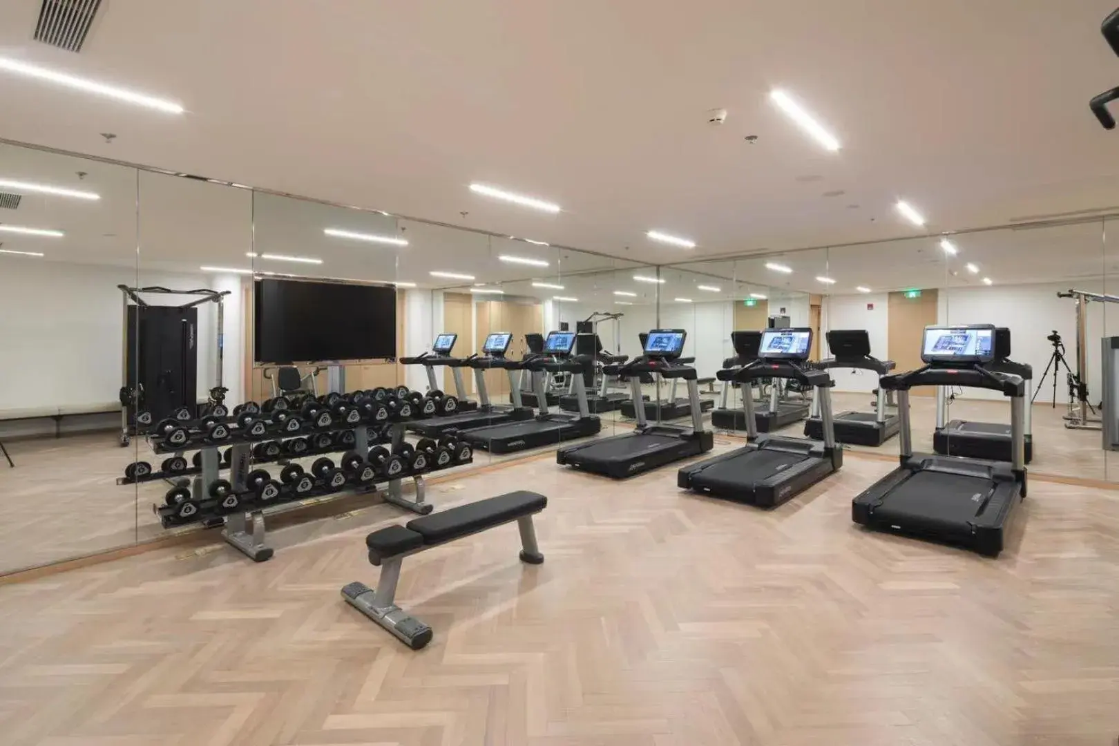 Fitness centre/facilities, Fitness Center/Facilities in Radisson Collection Resort Nanjing