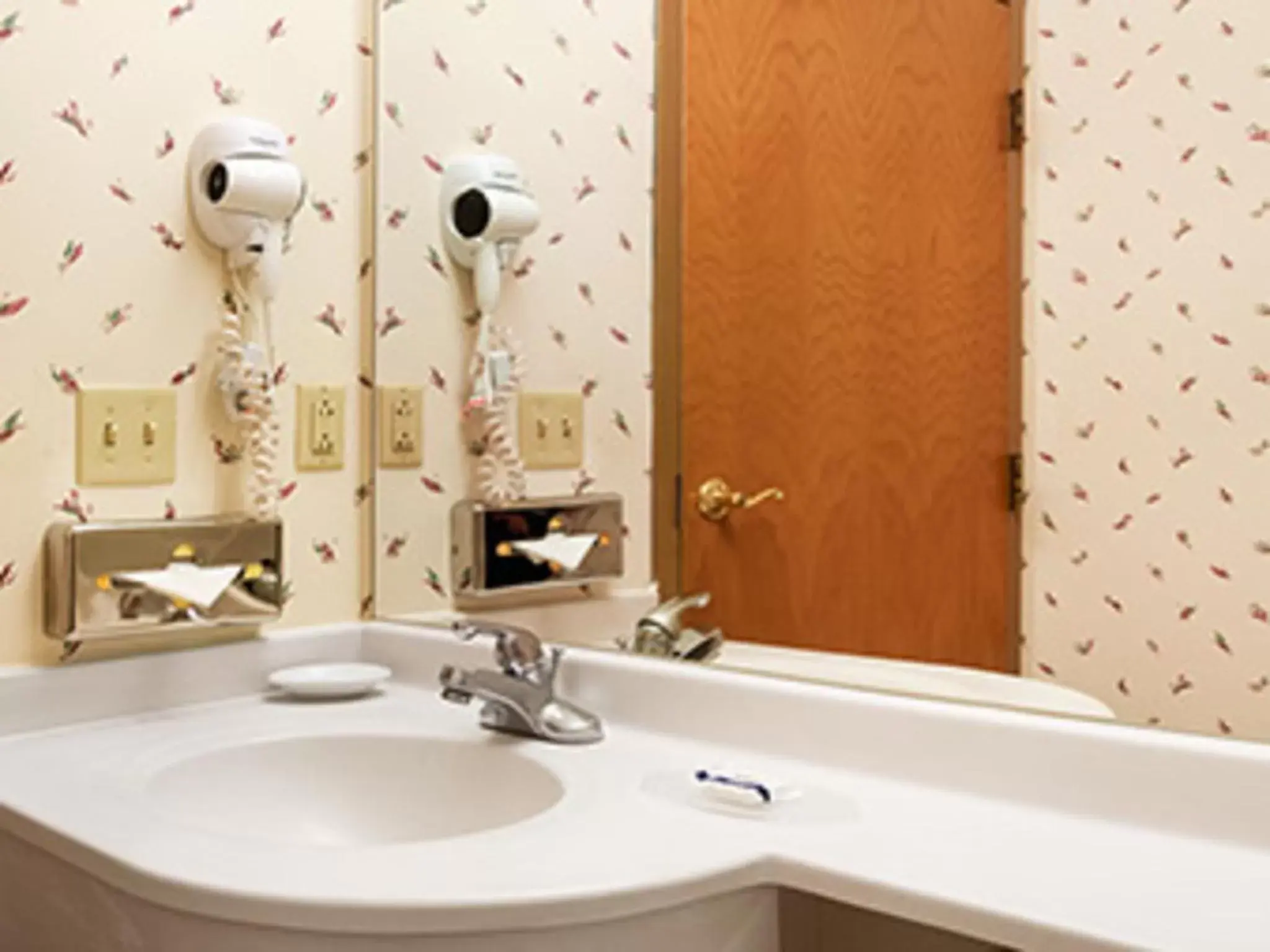 Bathroom in Microtel Inn & Suites by Wyndham Ann Arbor