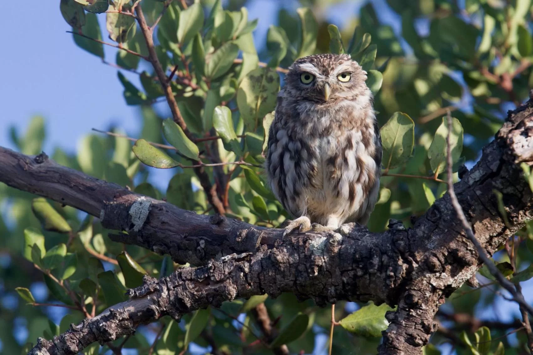 Garden in Quinta dos Poetas Nature Hotel & Apartments