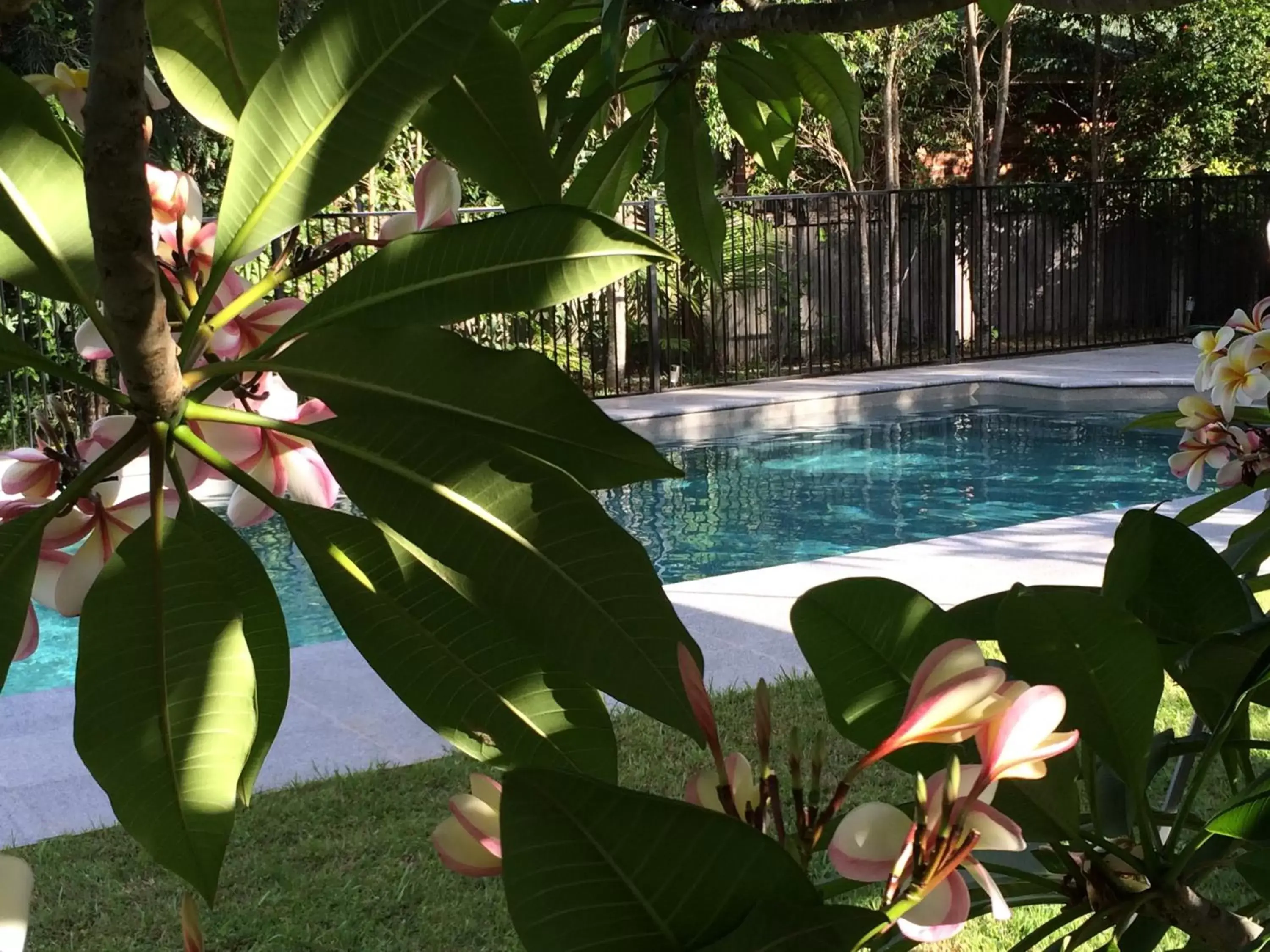 Swimming Pool in The Arabella North Coast