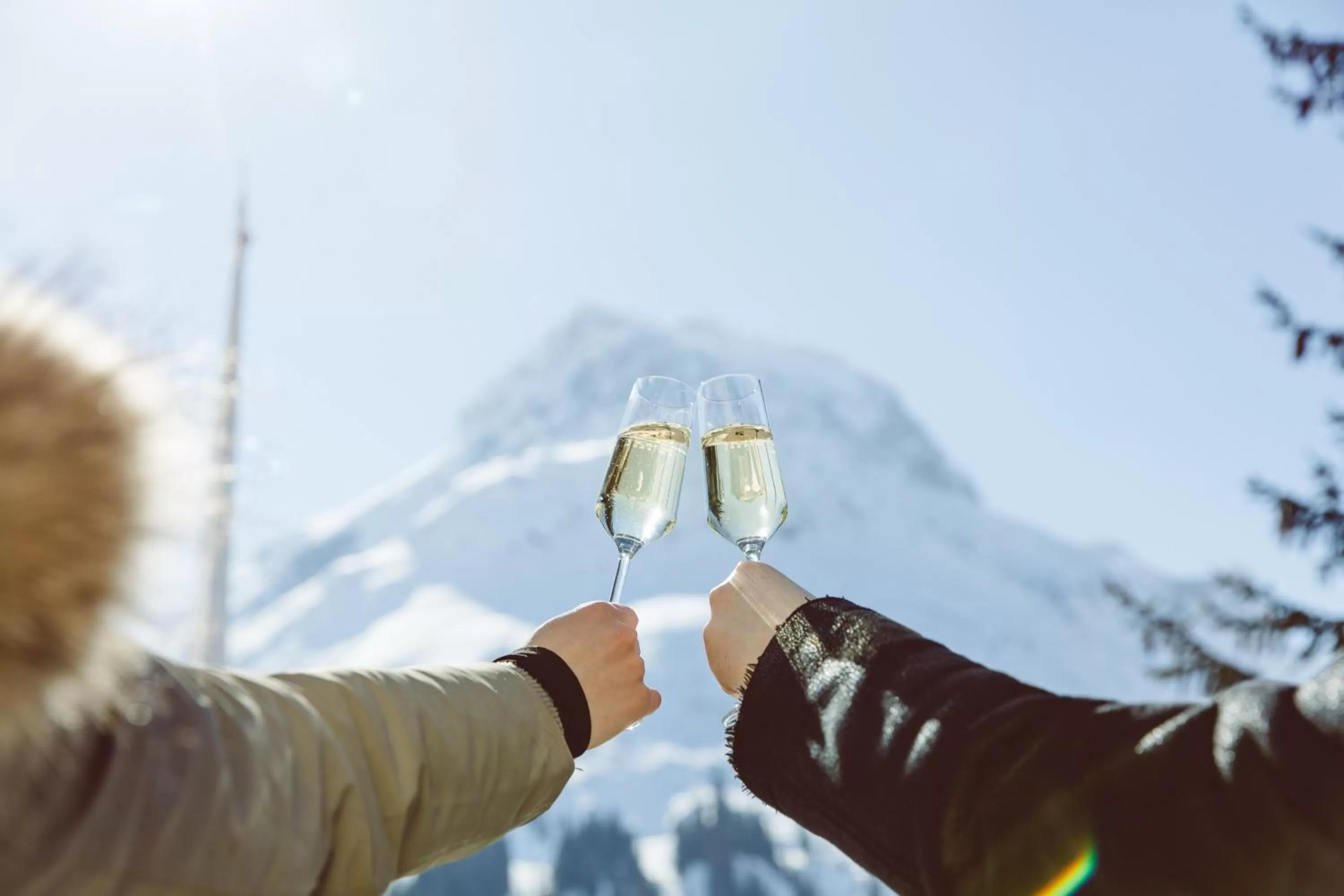 Drinks in Hotel Plattenhof