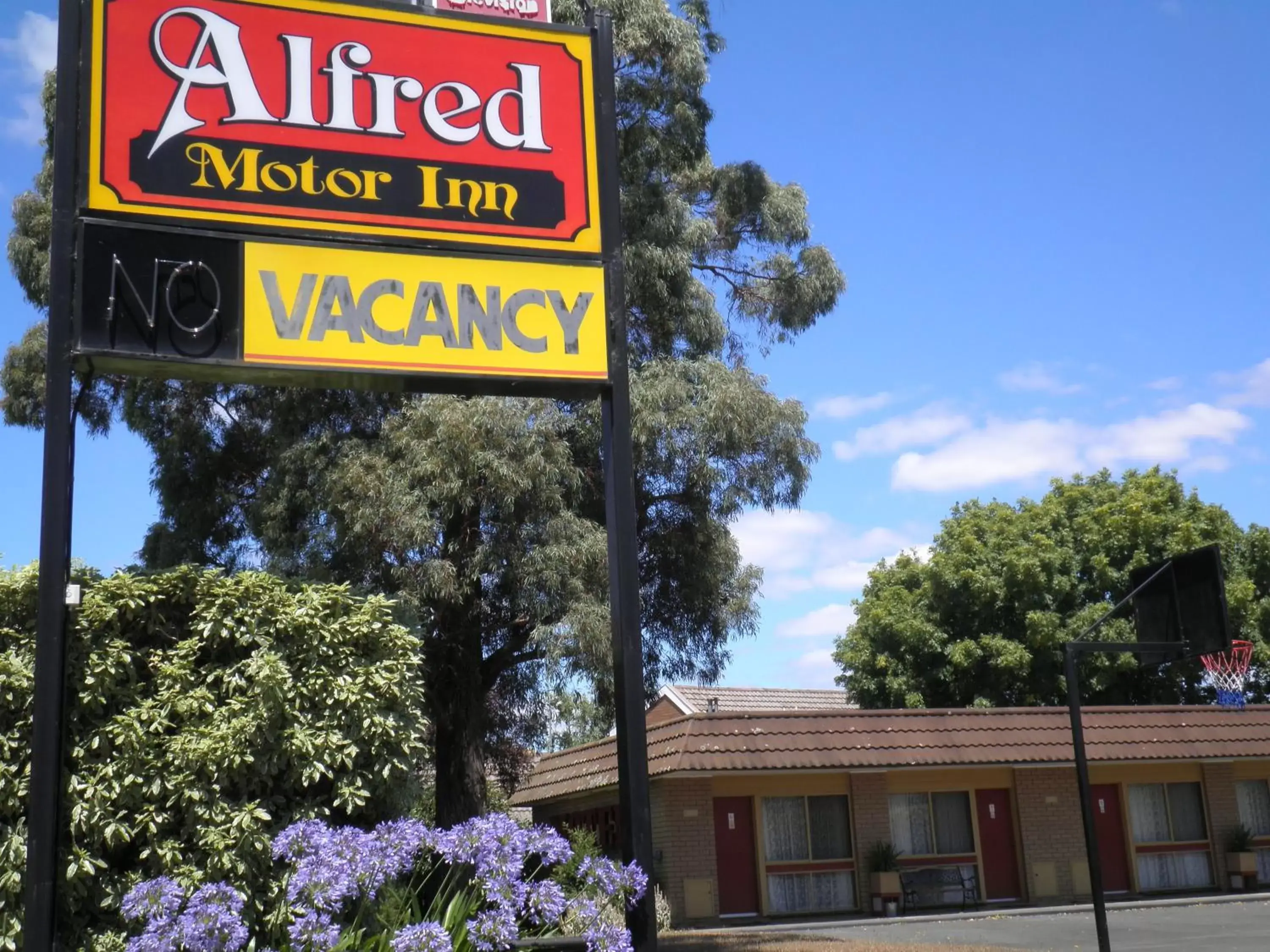 Garden view in Alfred Motor Inn